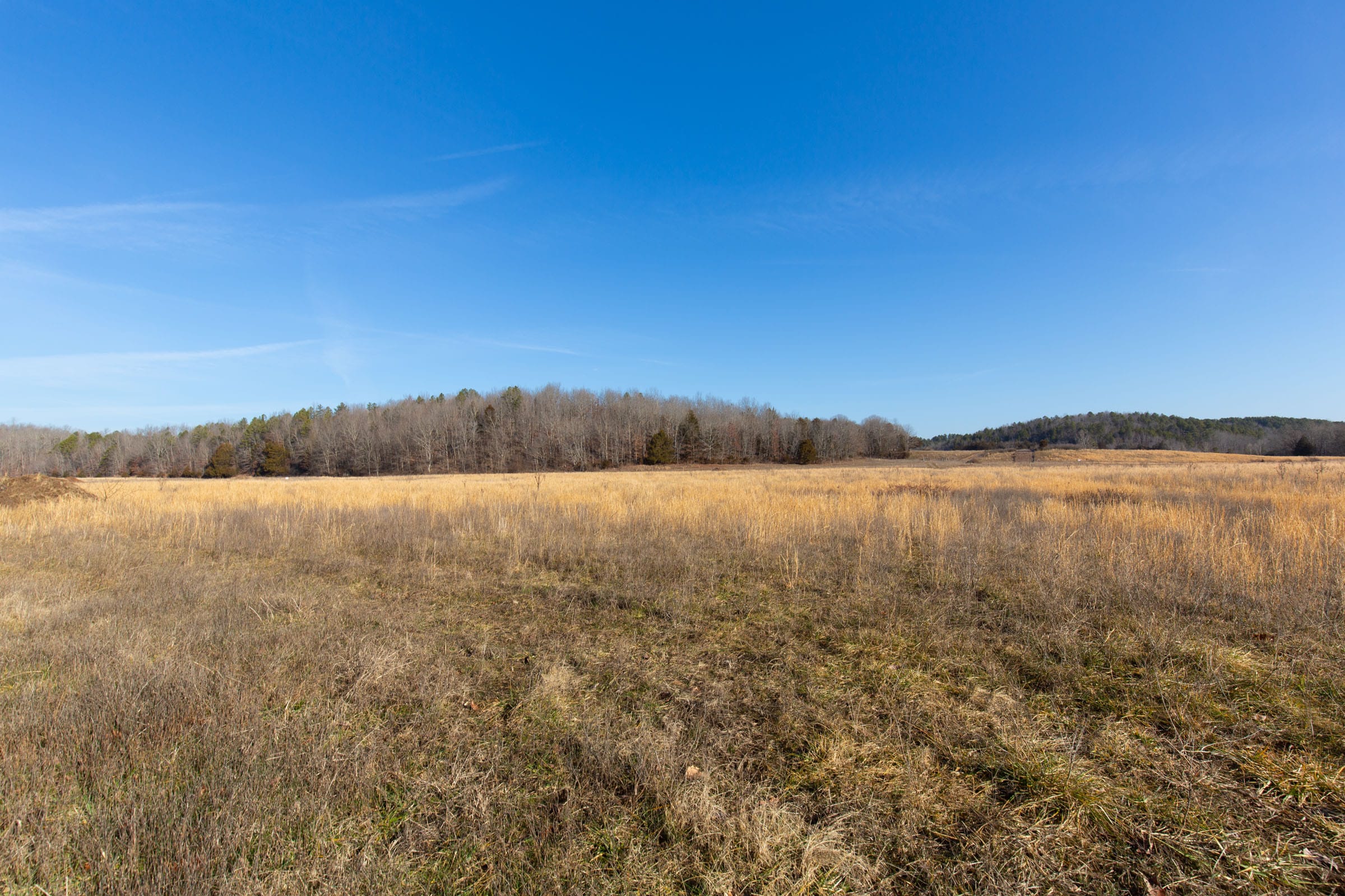 O’Connor Crossing Tract 30 photo 7