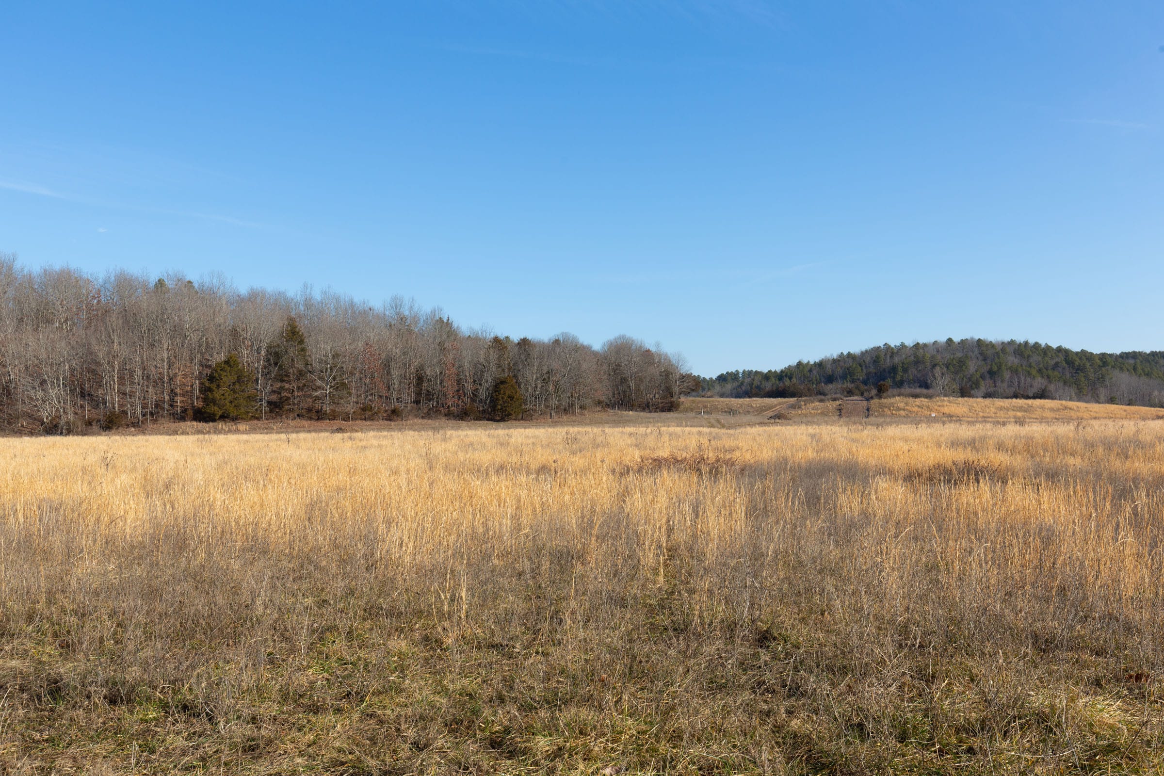 O’Connor Crossing Tract 30 photo 8