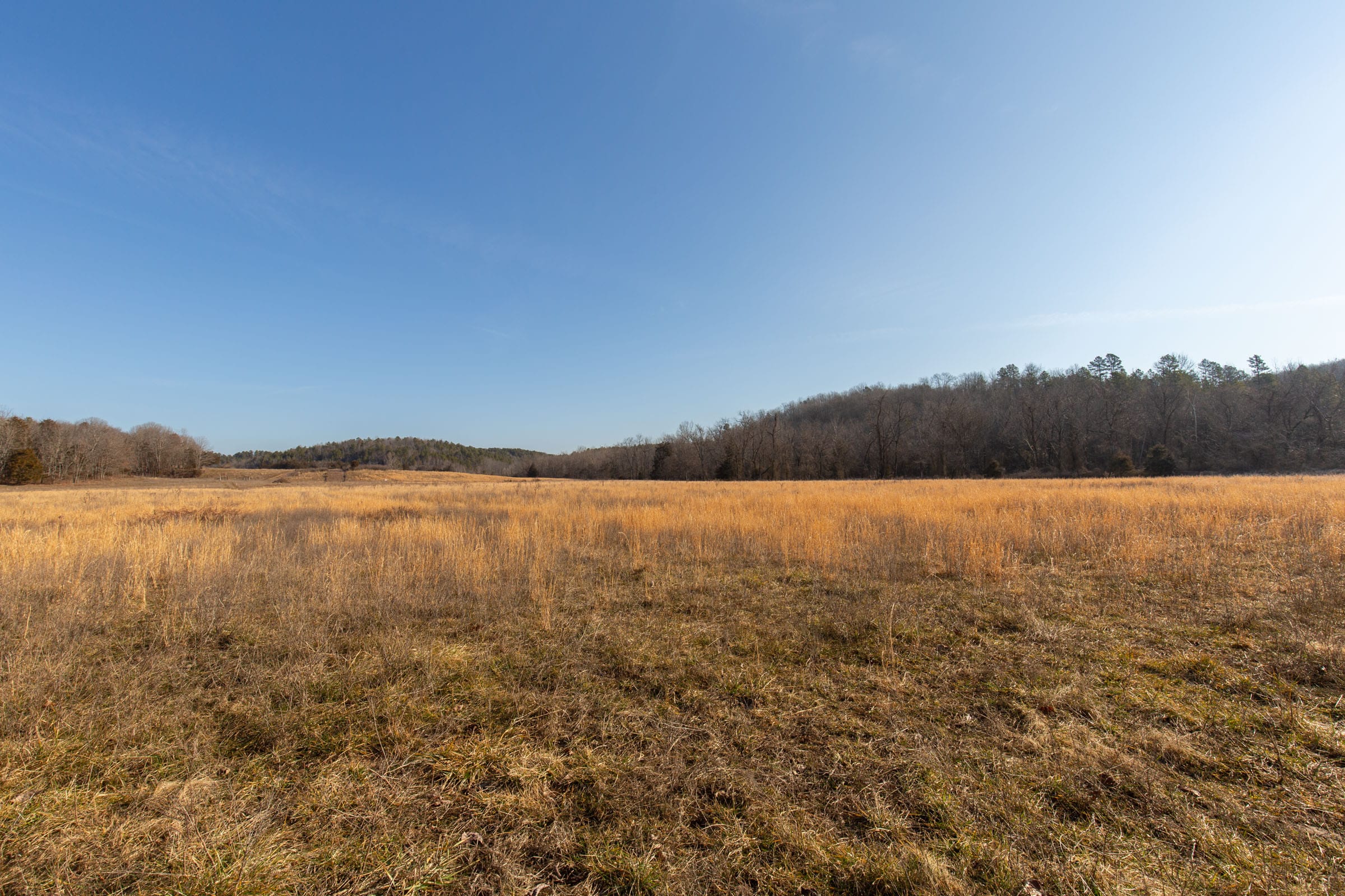 O’Connor Crossing Tract 30 photo 9