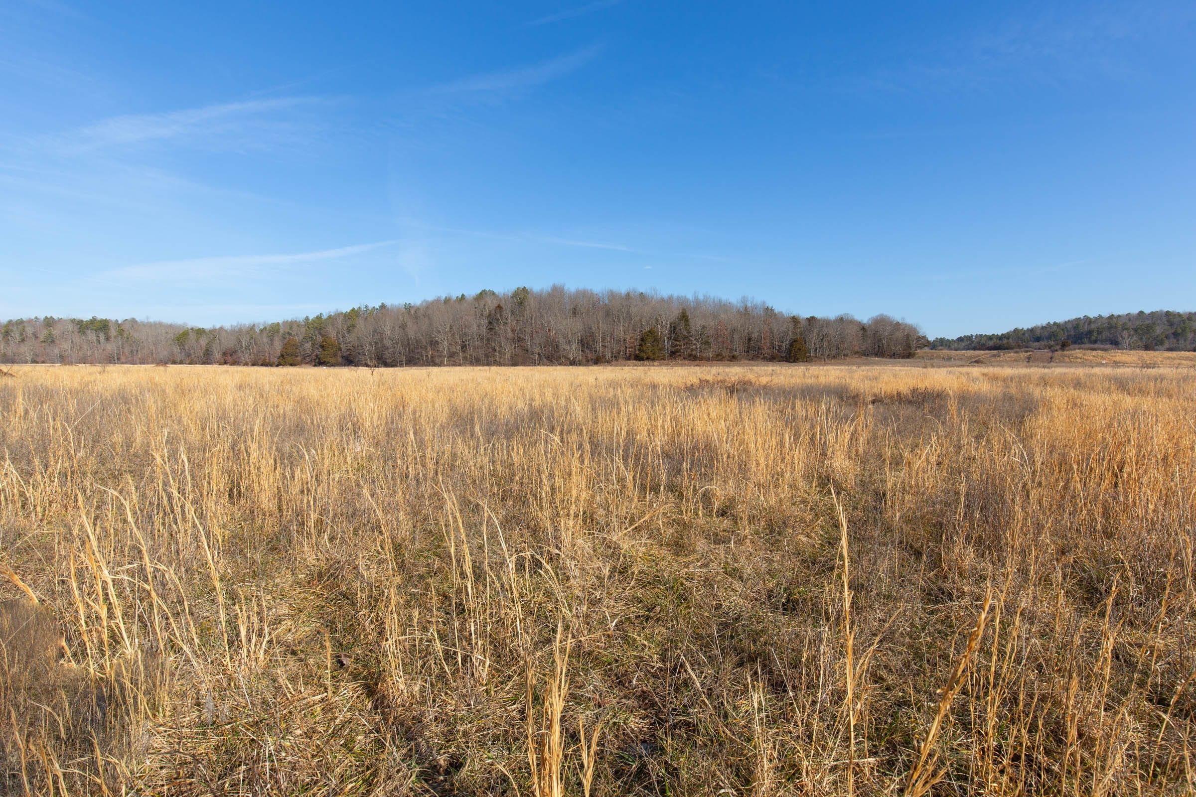 O’Connor Crossing Tract 30 photo 12