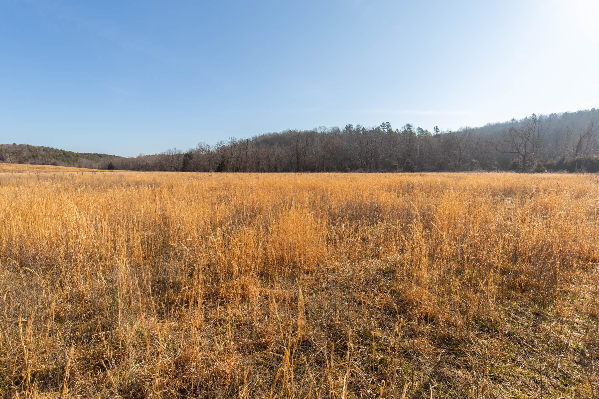 O’Connor Crossing Tract 30 photo 15