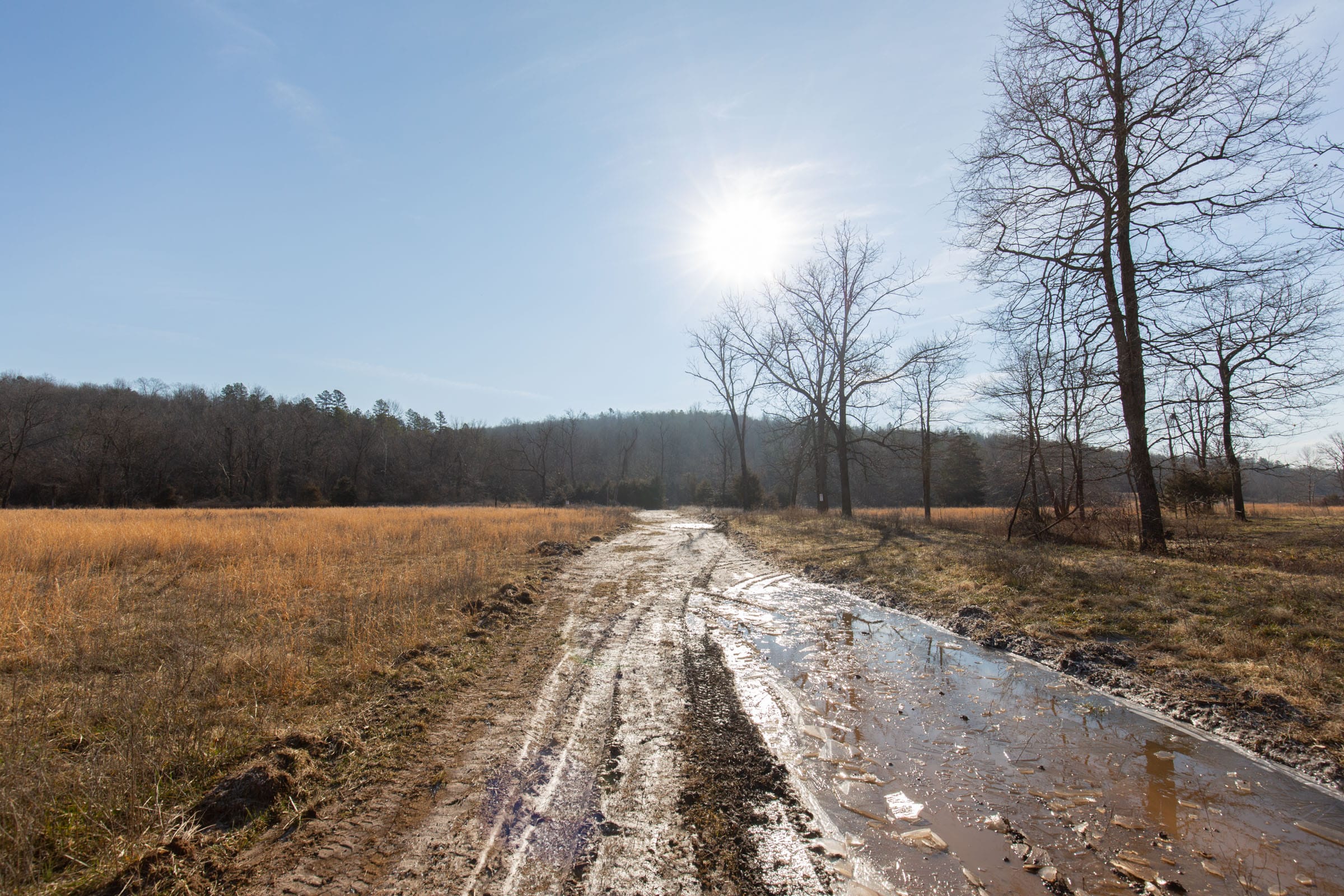 O’Connor Crossing Tract 30 photo 14