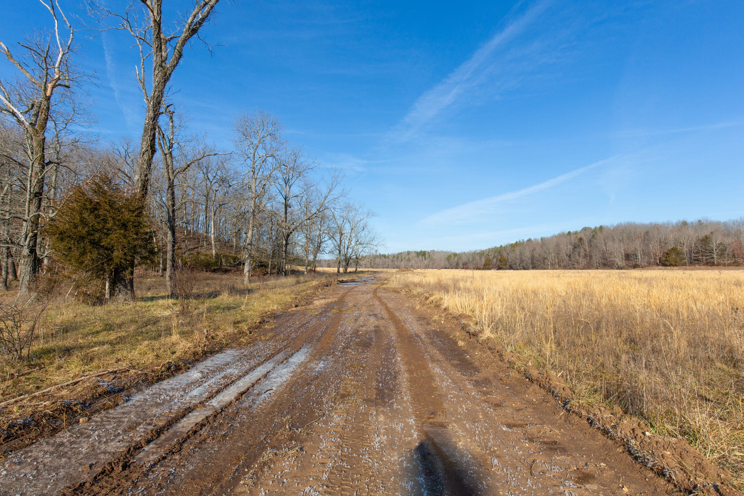O’Connor Crossing Tract 30 photo 10