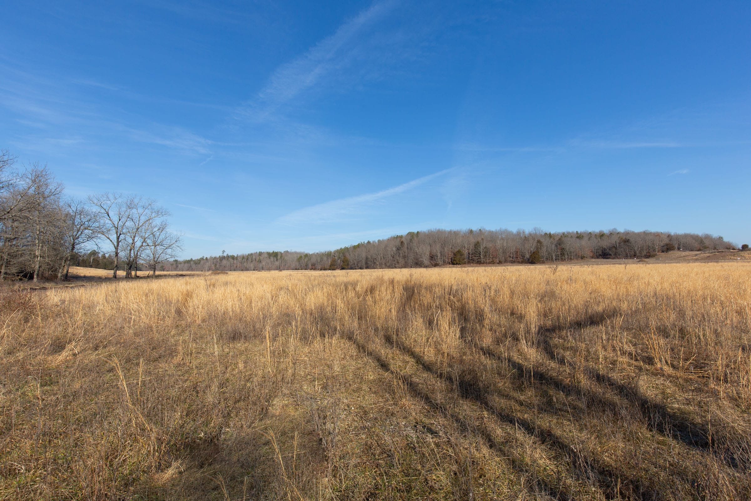 O’Connor Crossing Tract 30 photo 18