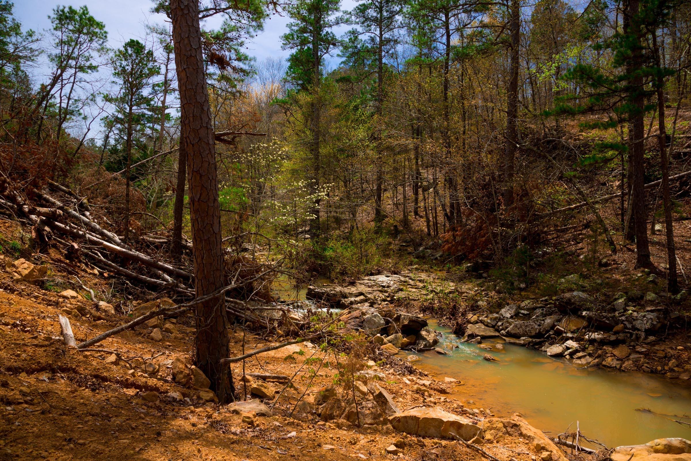 Stone Creek Phase II Tract 196 photo 4