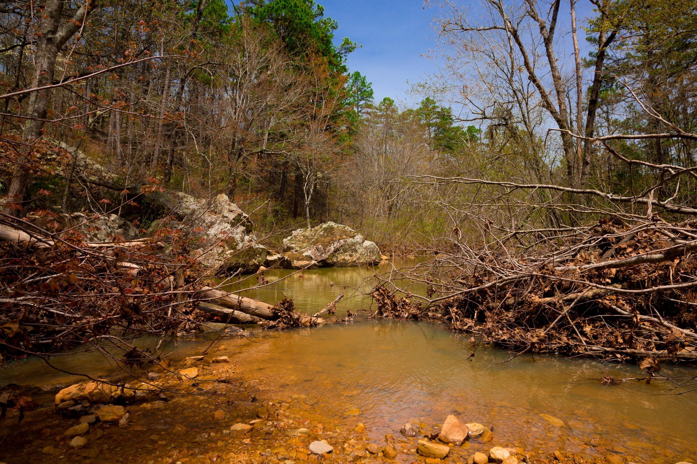 Stone Creek Phase II Tract 196 photo 5
