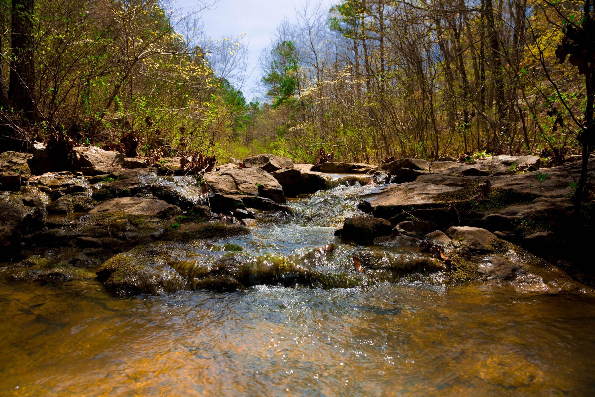 Stone Creek Phase II Tract 196 photo 9