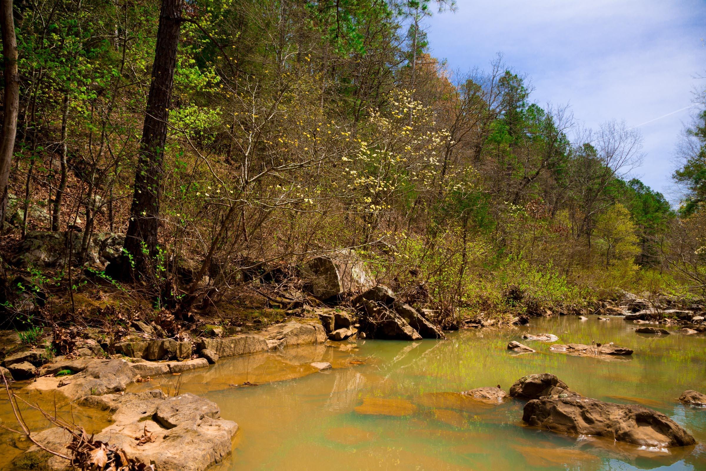 Stone Creek Phase II Tract 196 photo 12