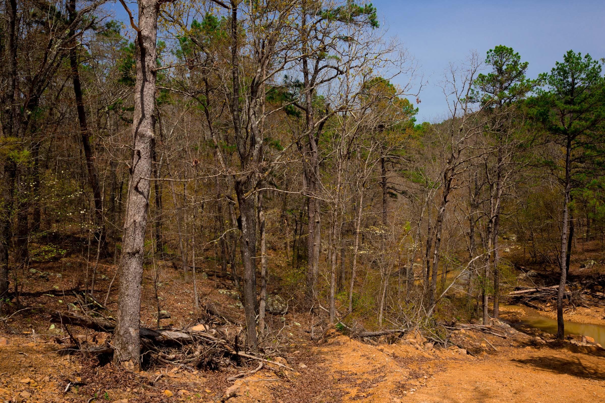 Stone Creek Phase II Tract 196 photo 13