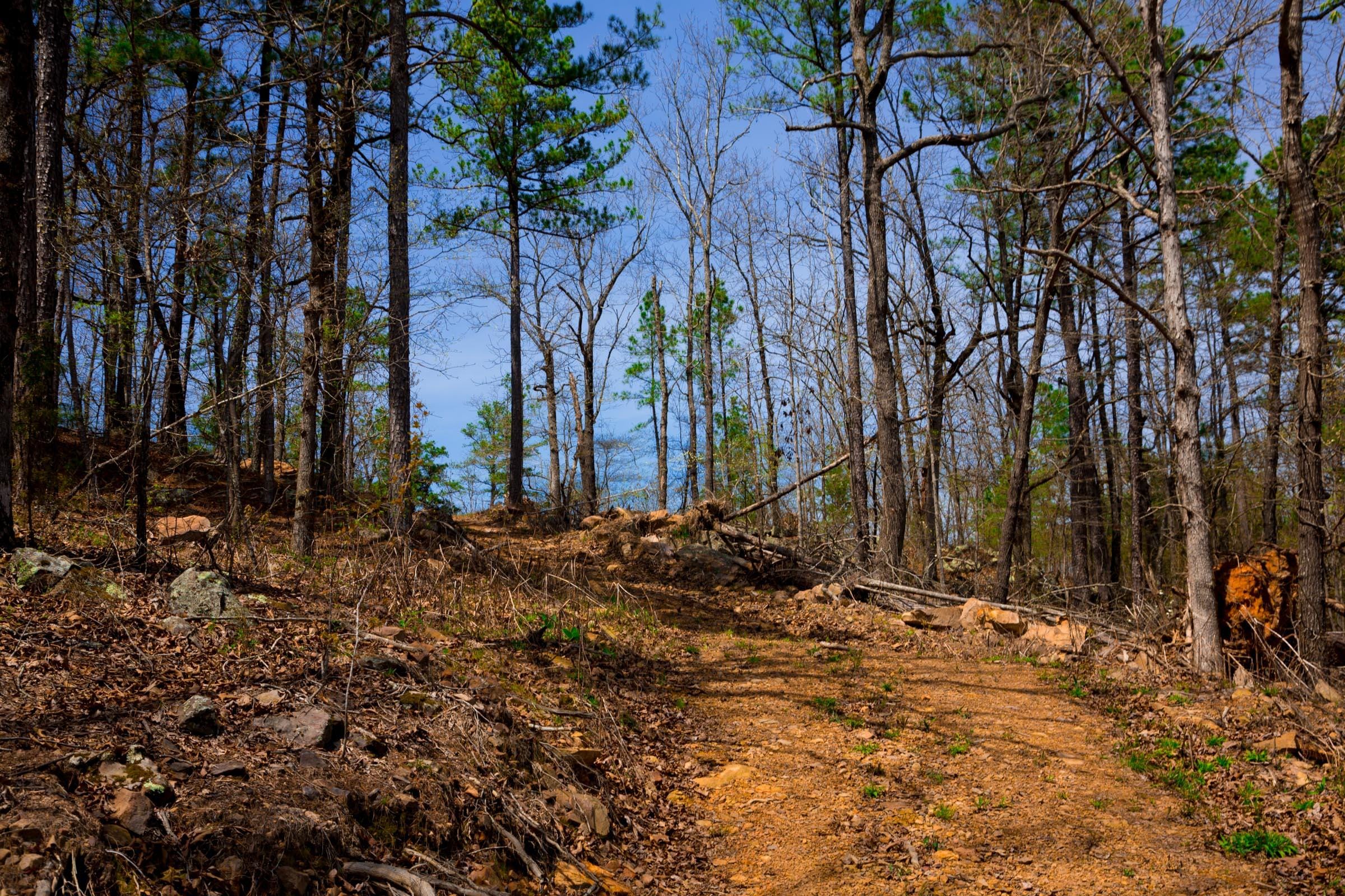 Stone Creek Phase II Tract 196 photo 1