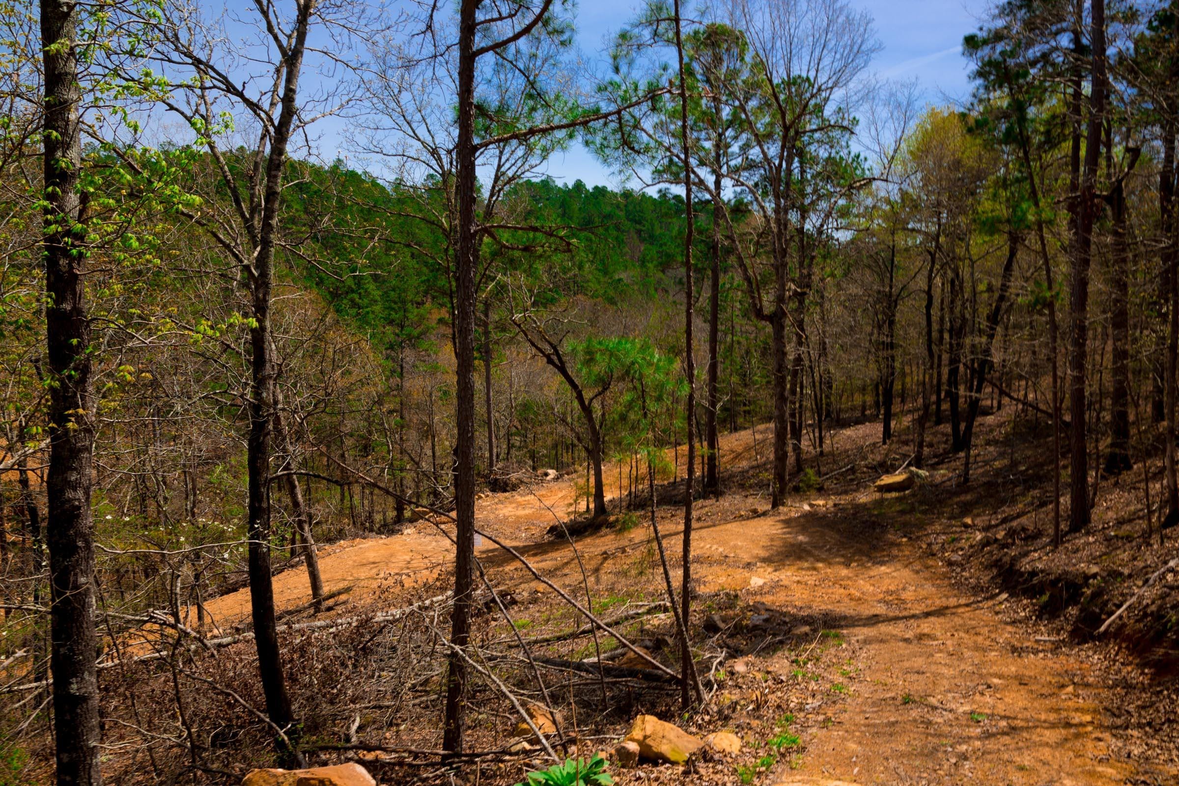 Stone Creek Phase II Tract 196 photo 15