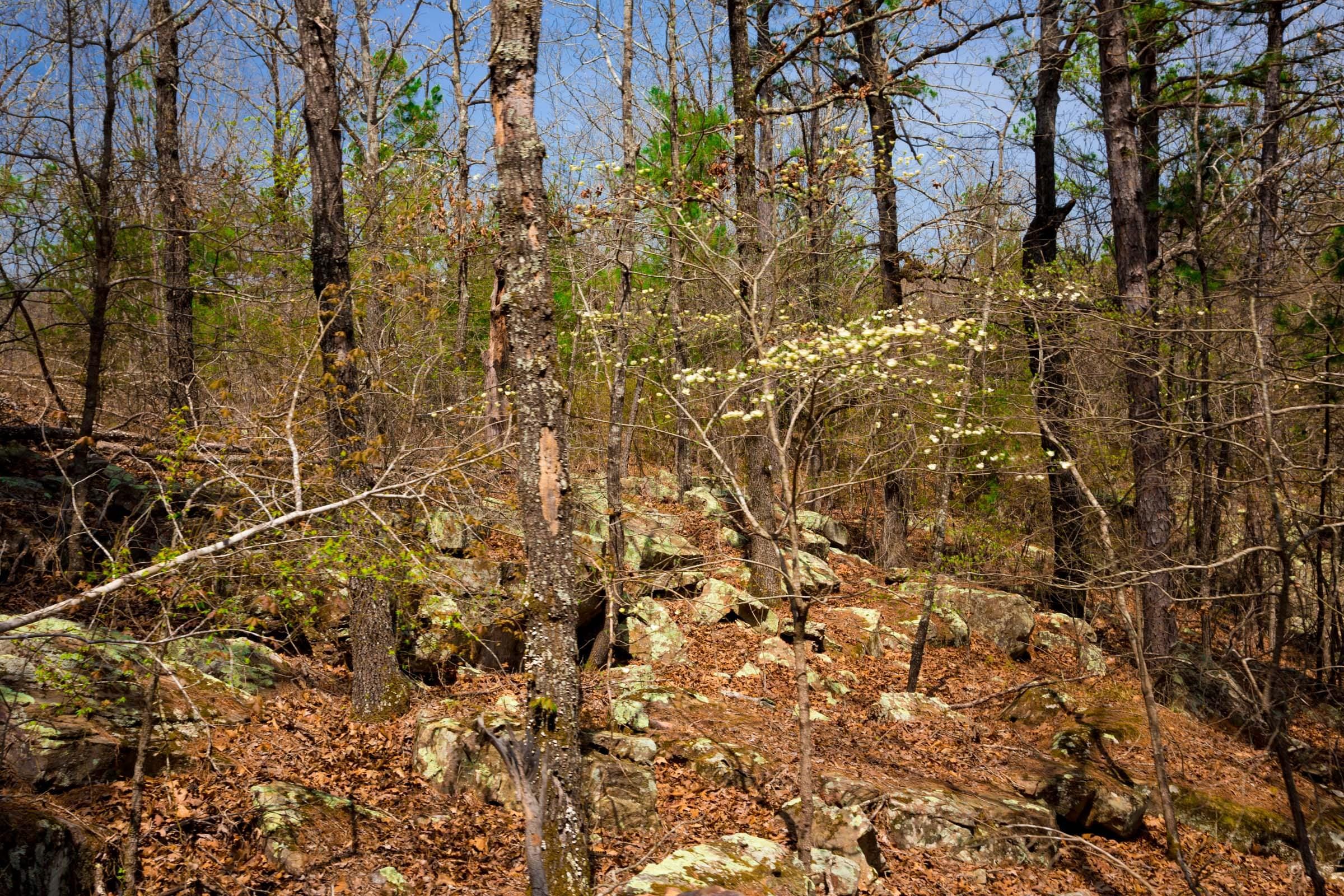 Stone Creek Phase II Tract 196 photo 16