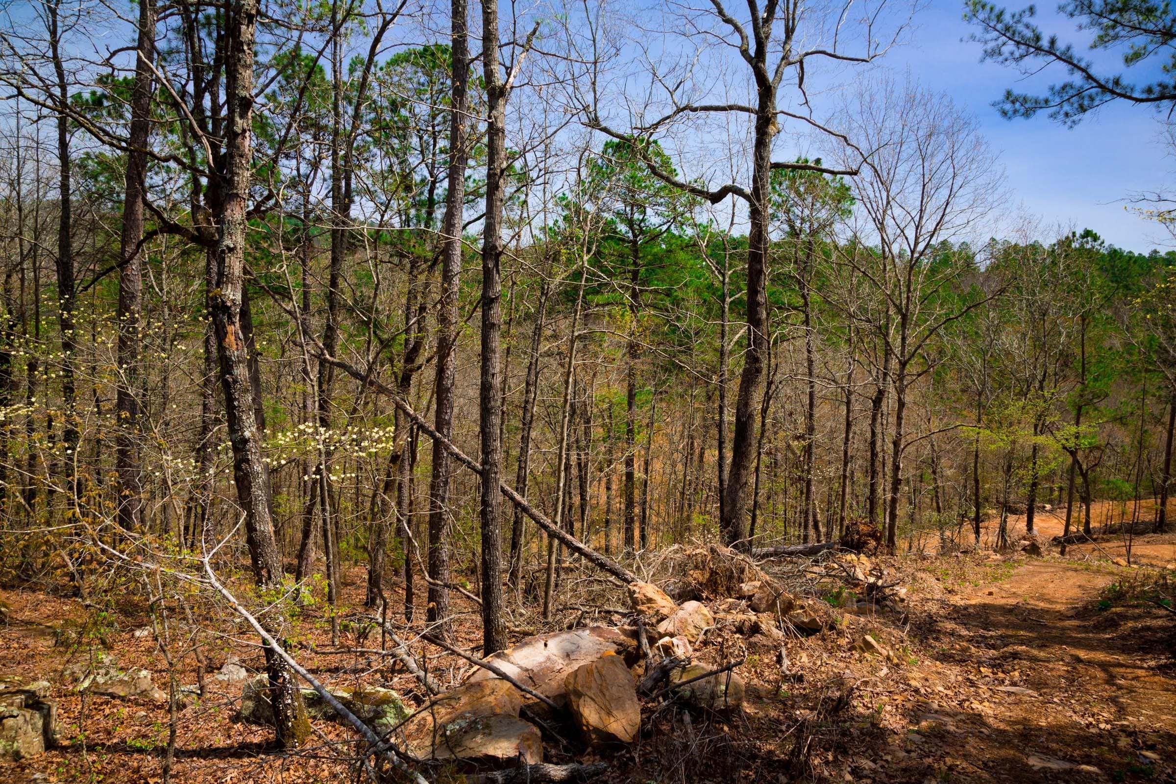 Stone Creek Phase II Tract 196 photo 17