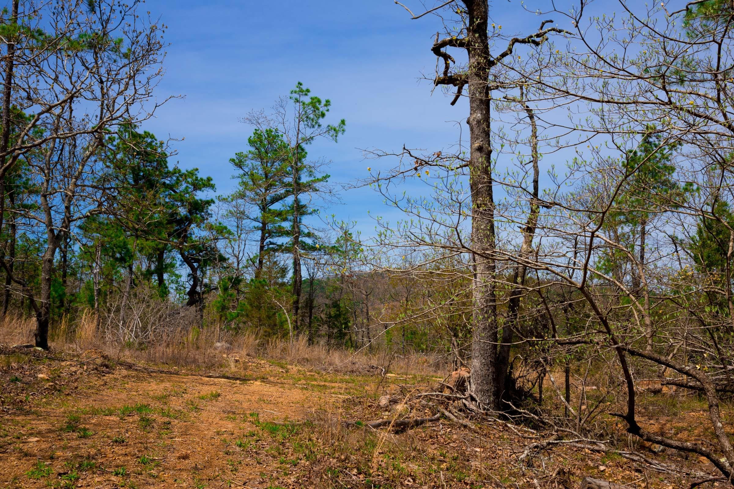 Stone Creek Phase II Tract 196 photo 18