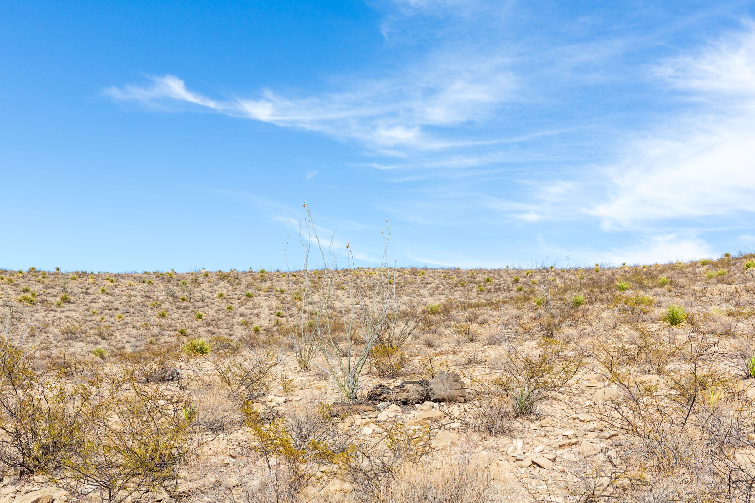 Sunrise Ranches Phase III Tract 117 photo 12