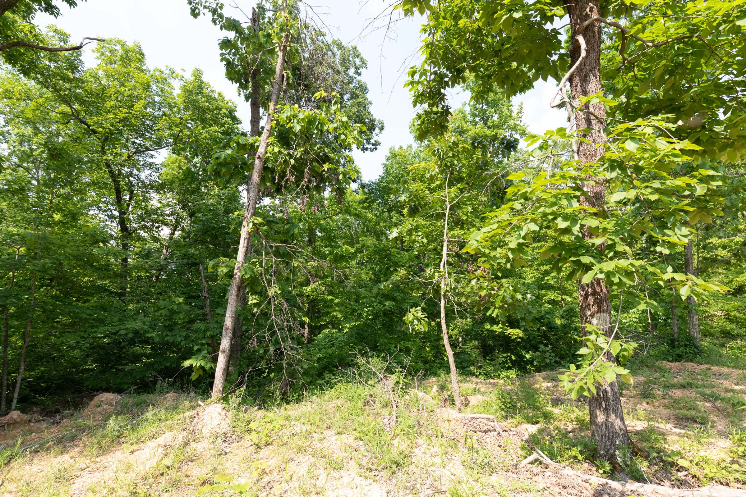 Cedar Creek Tract 63 photo 4