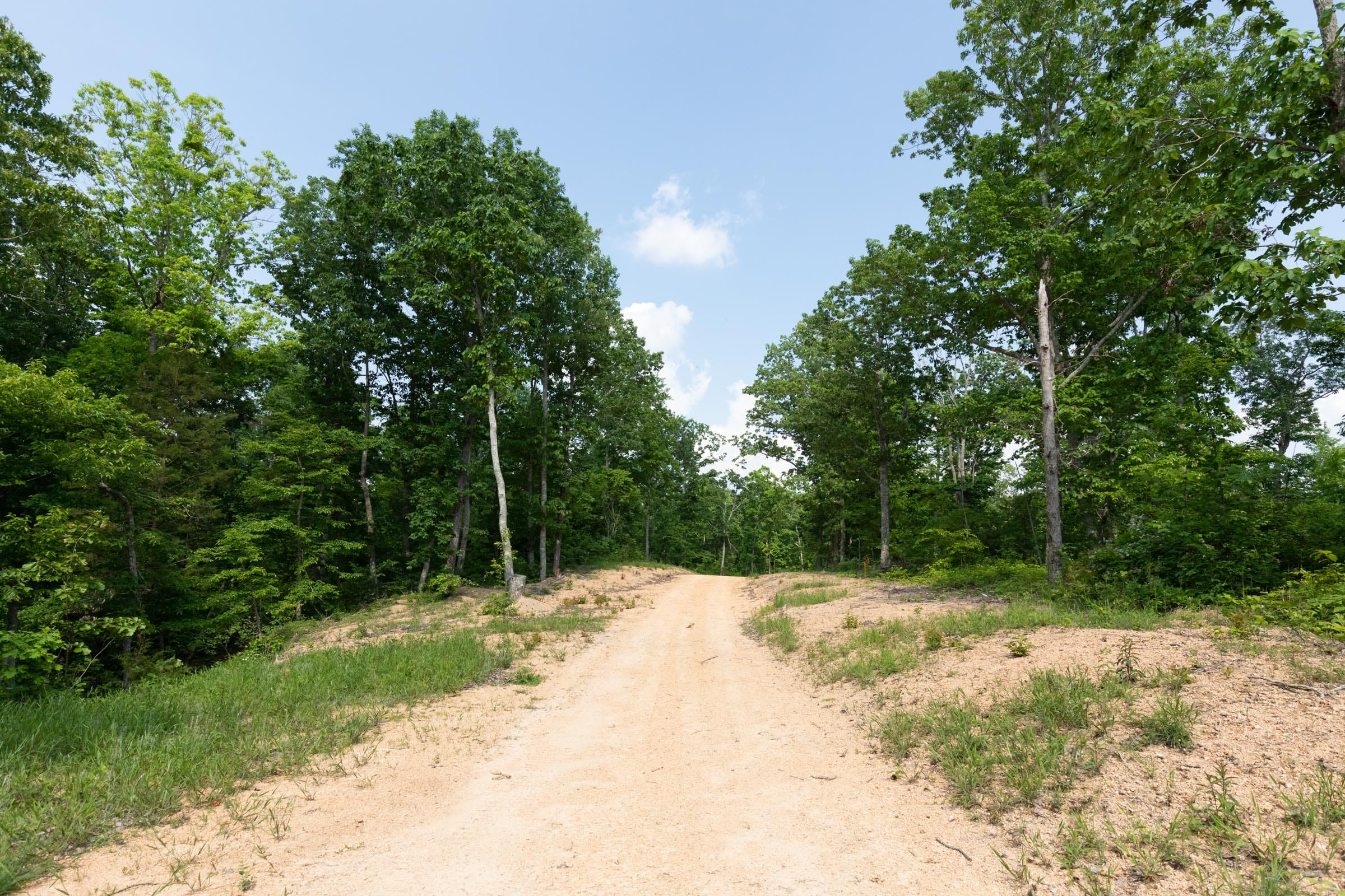 Cedar Creek Tract 63 photo 7