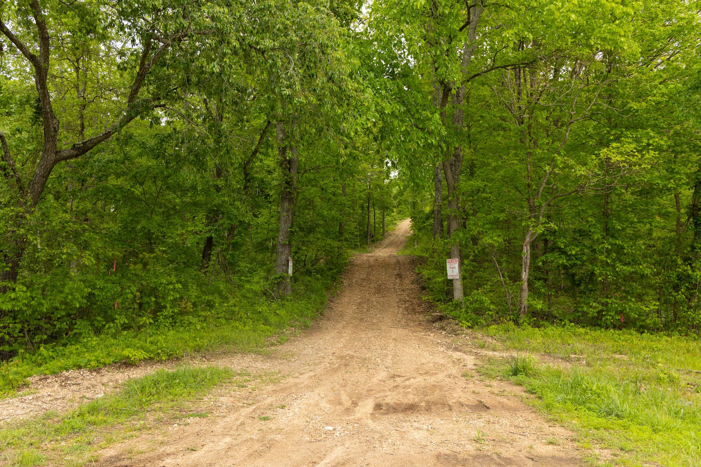 Stardust Estates Tract 4 photo 10