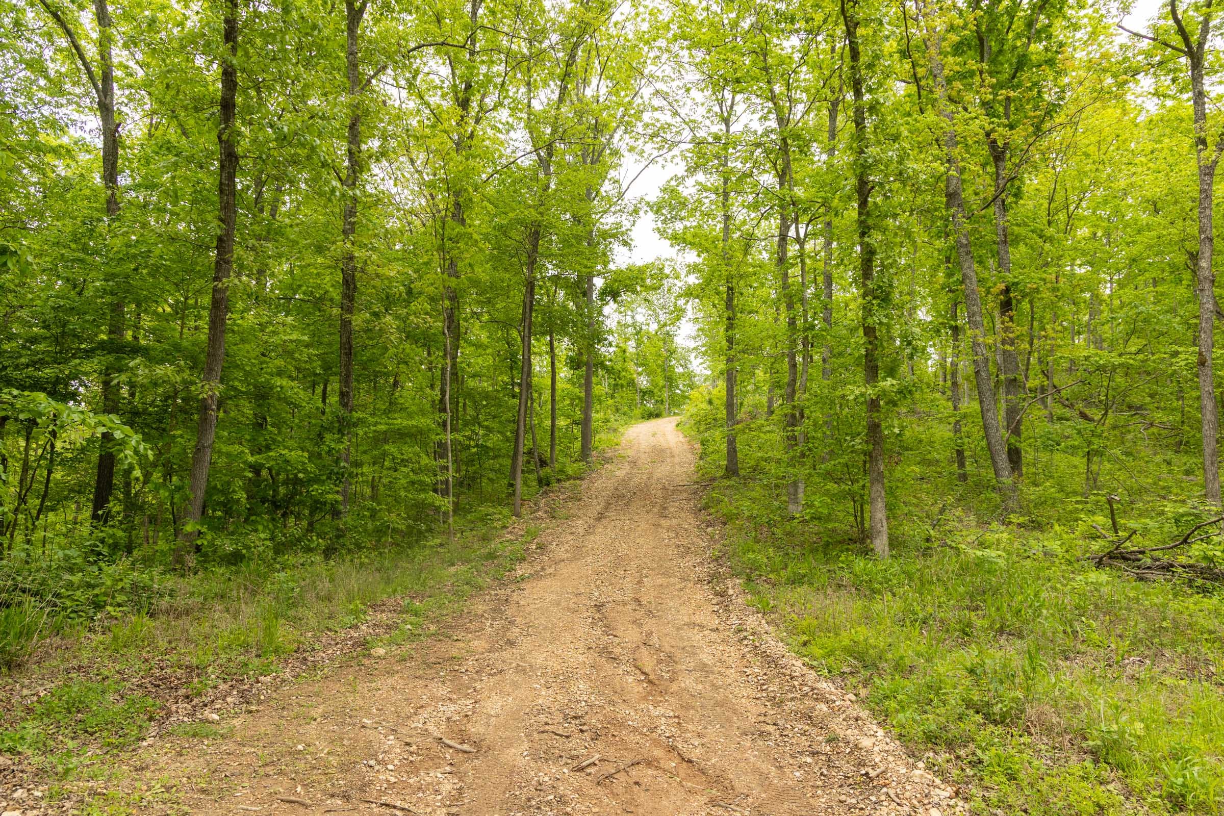 Stardust Estates Tract 4 photo 2
