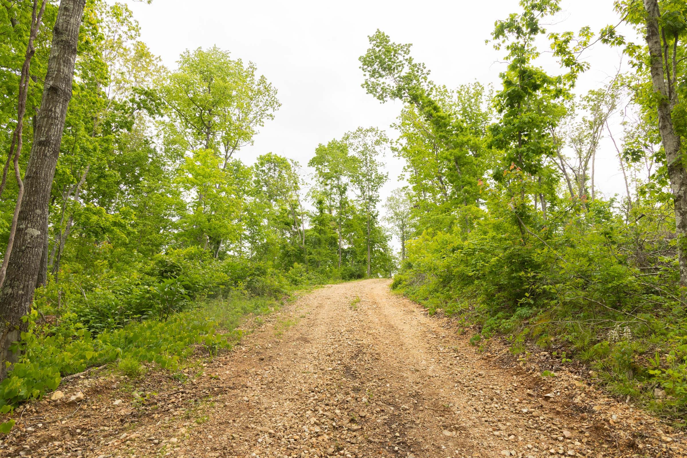 Stardust Estates Tract 4 photo 11