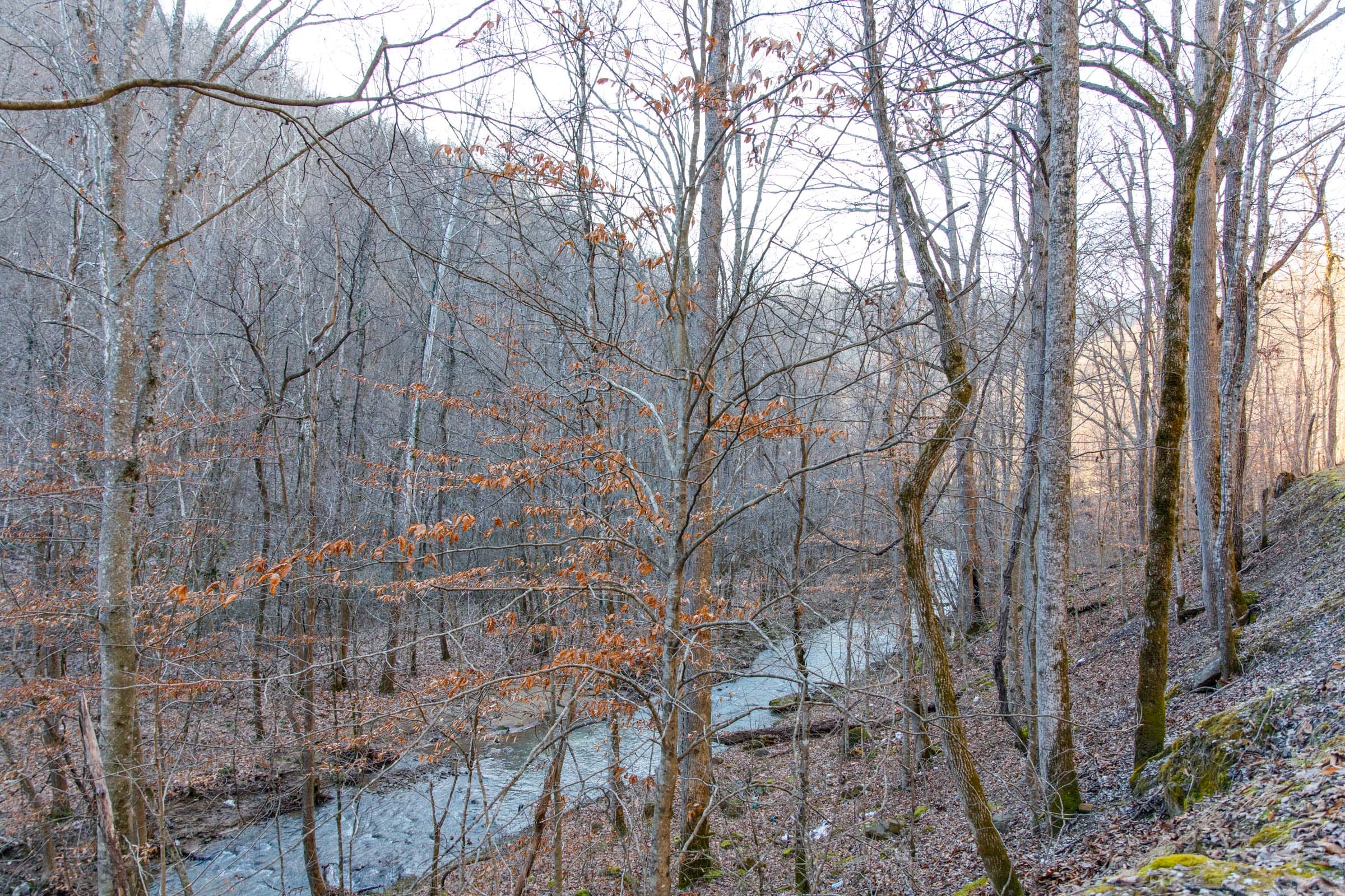 Blackstone Mountain Phase I Tract 3 photo 6