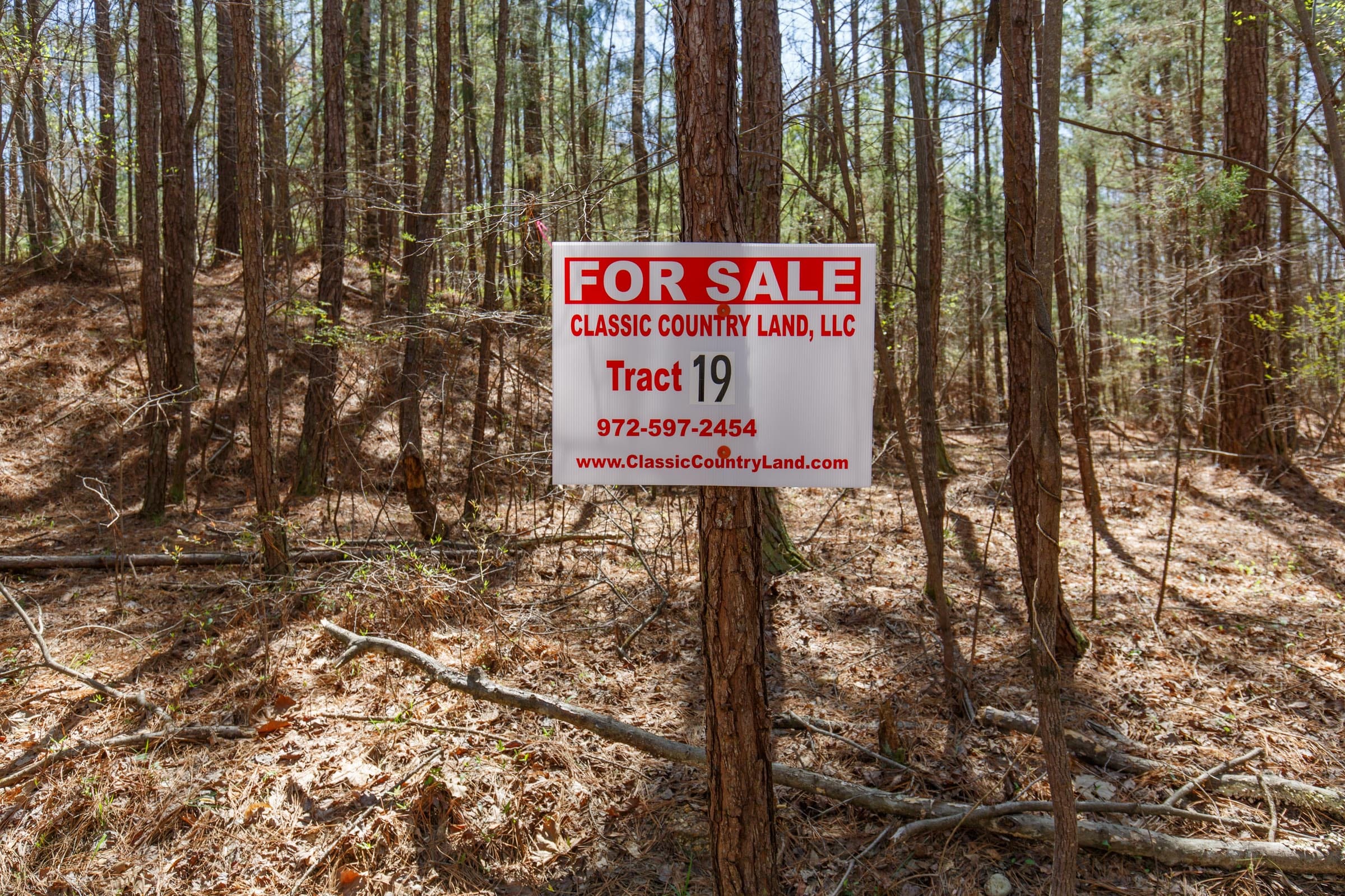 Southern Hills Tract 19 photo 1