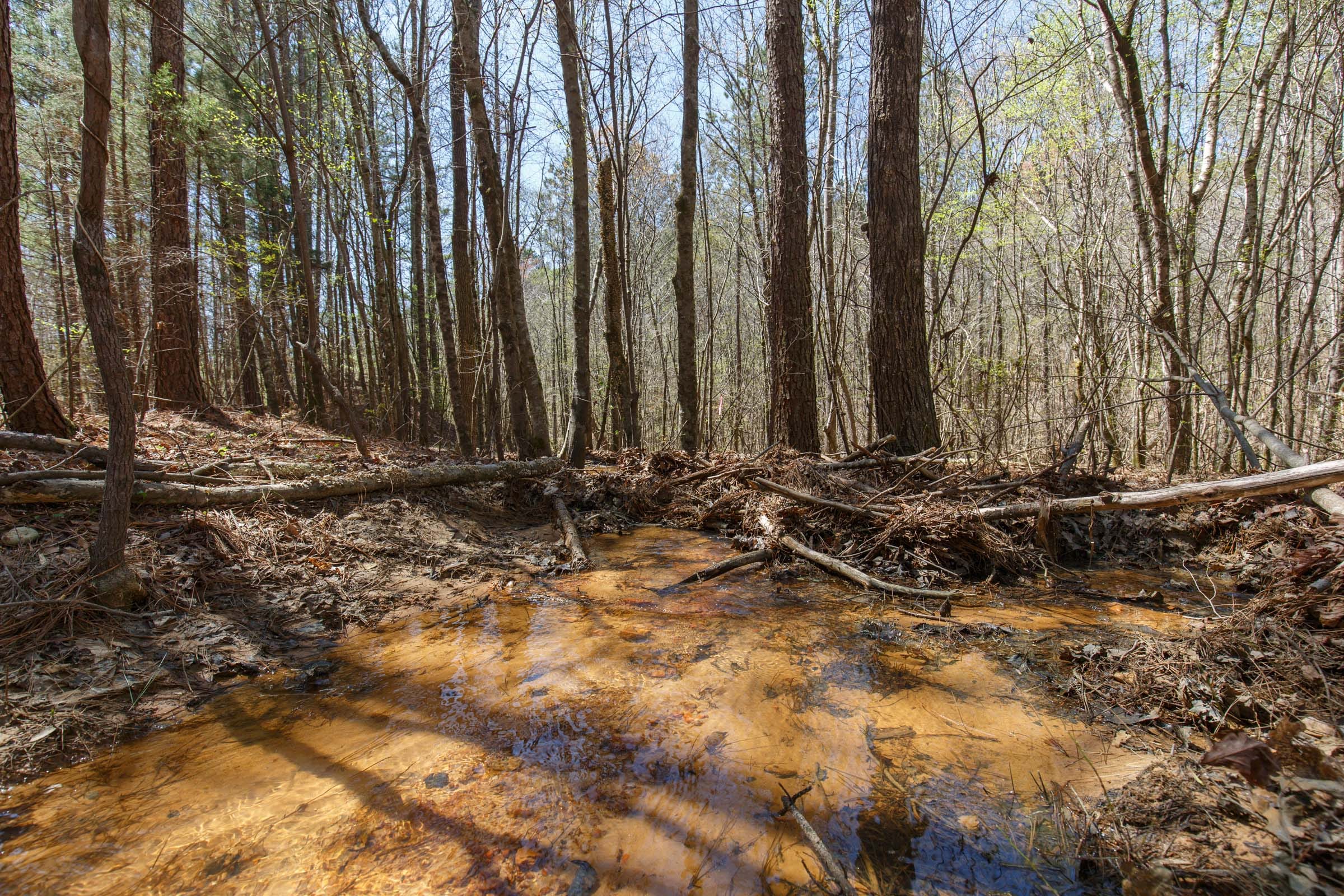 Southern Hills Tract 19 photo 2