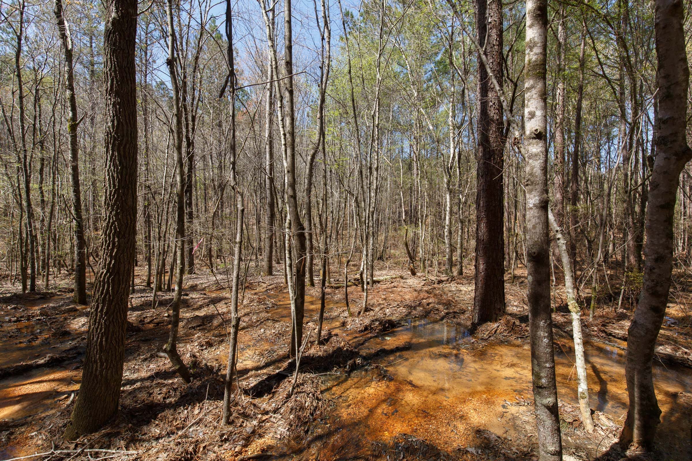 Southern Hills Tract 19 photo 4