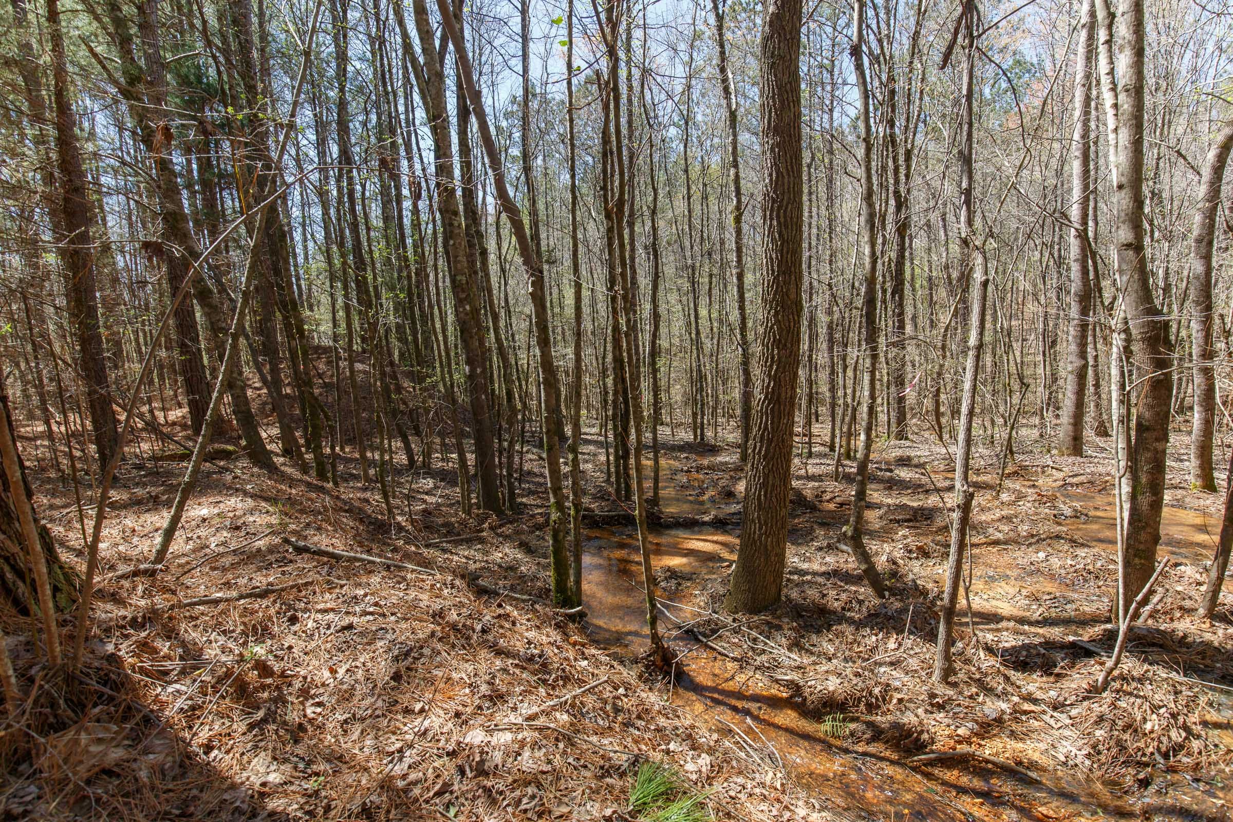 Southern Hills Tract 19 photo 5