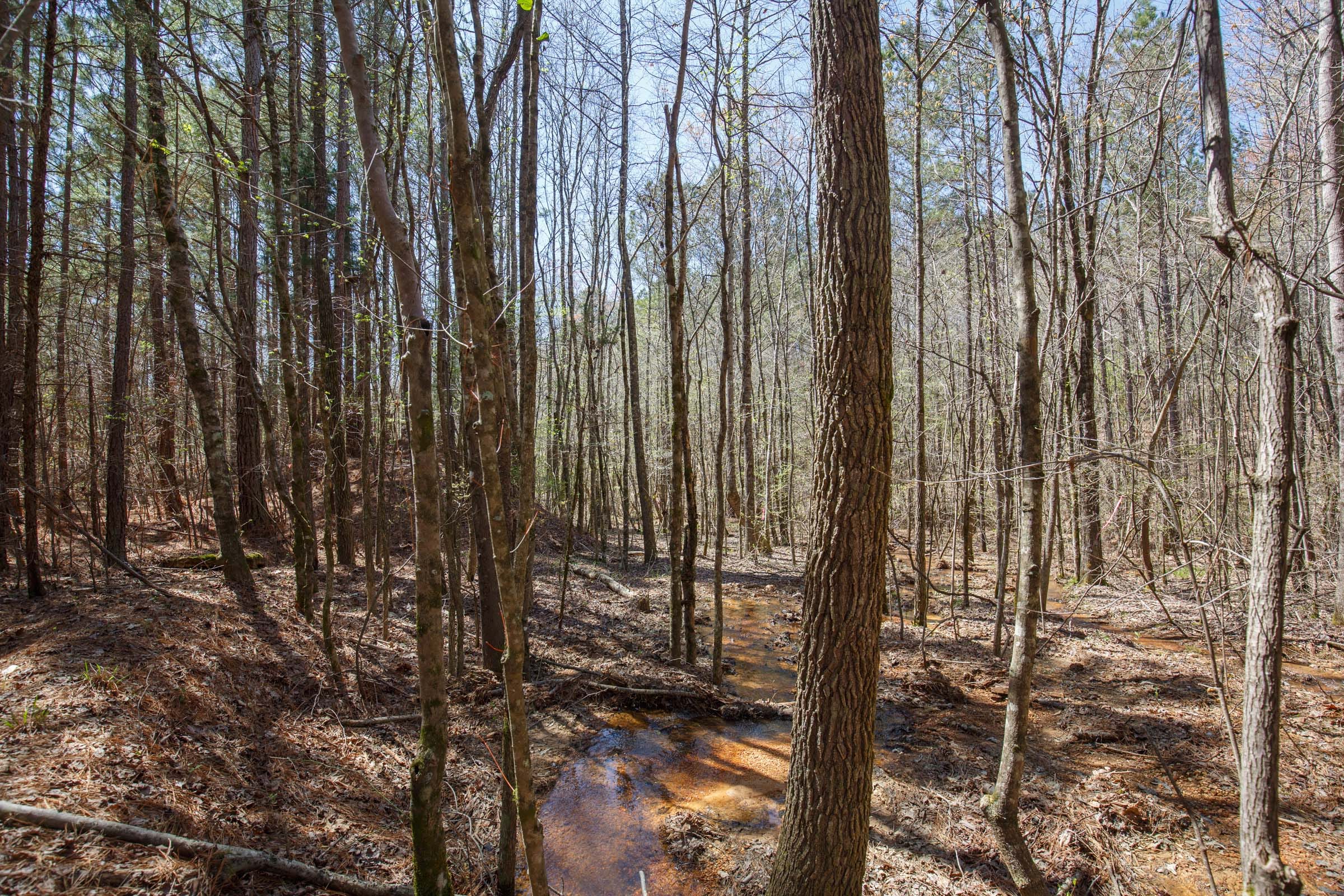 Southern Hills Tract 19 photo 6
