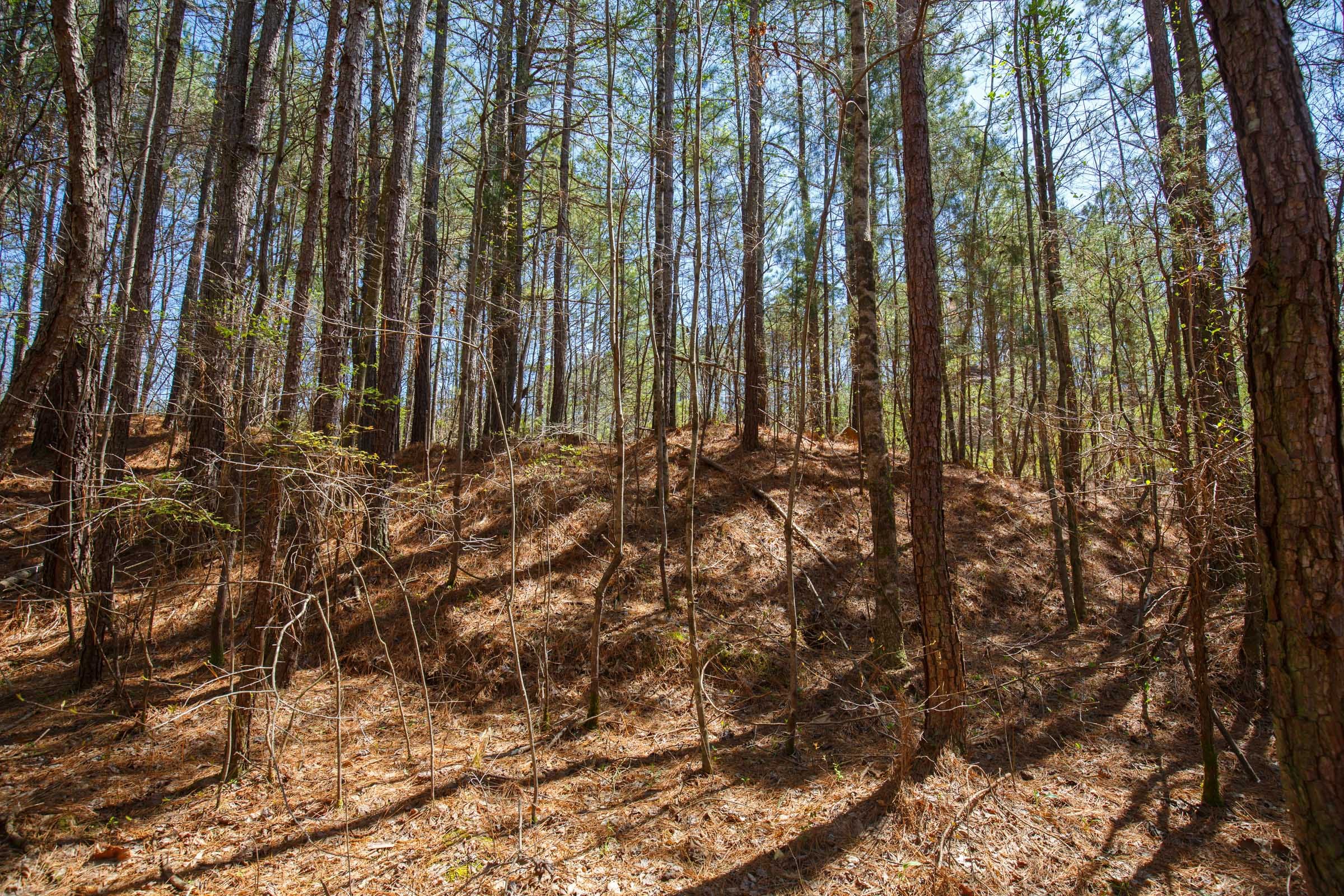 Southern Hills Tract 19 photo 8