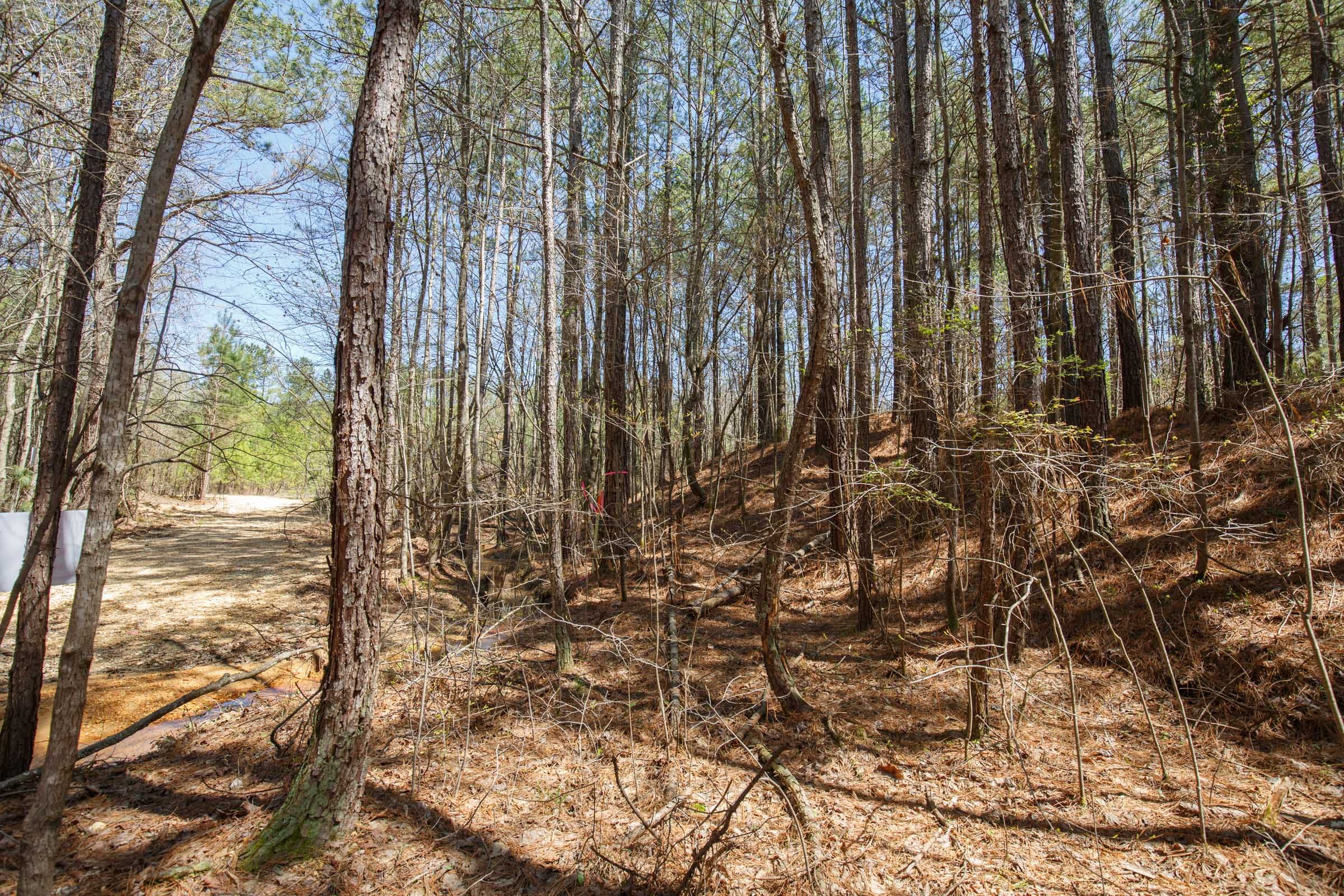 Southern Hills Tract 19 photo 9