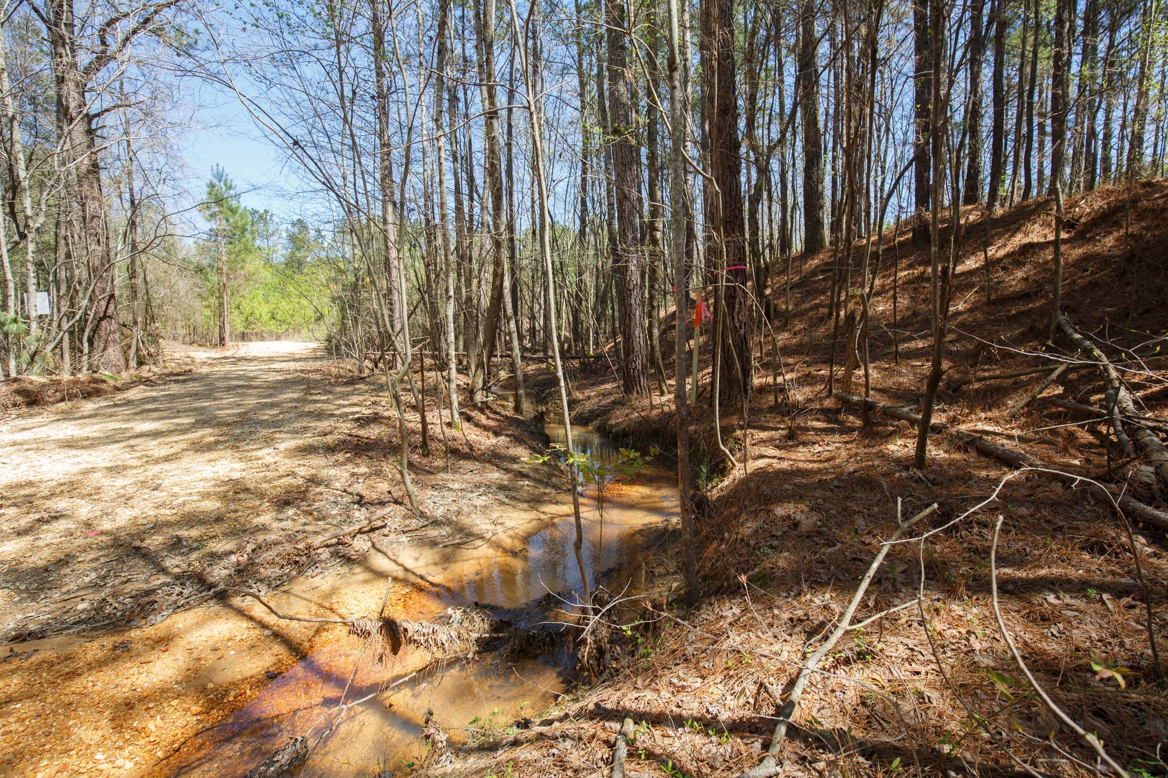 Southern Hills Tract 19 photo 11