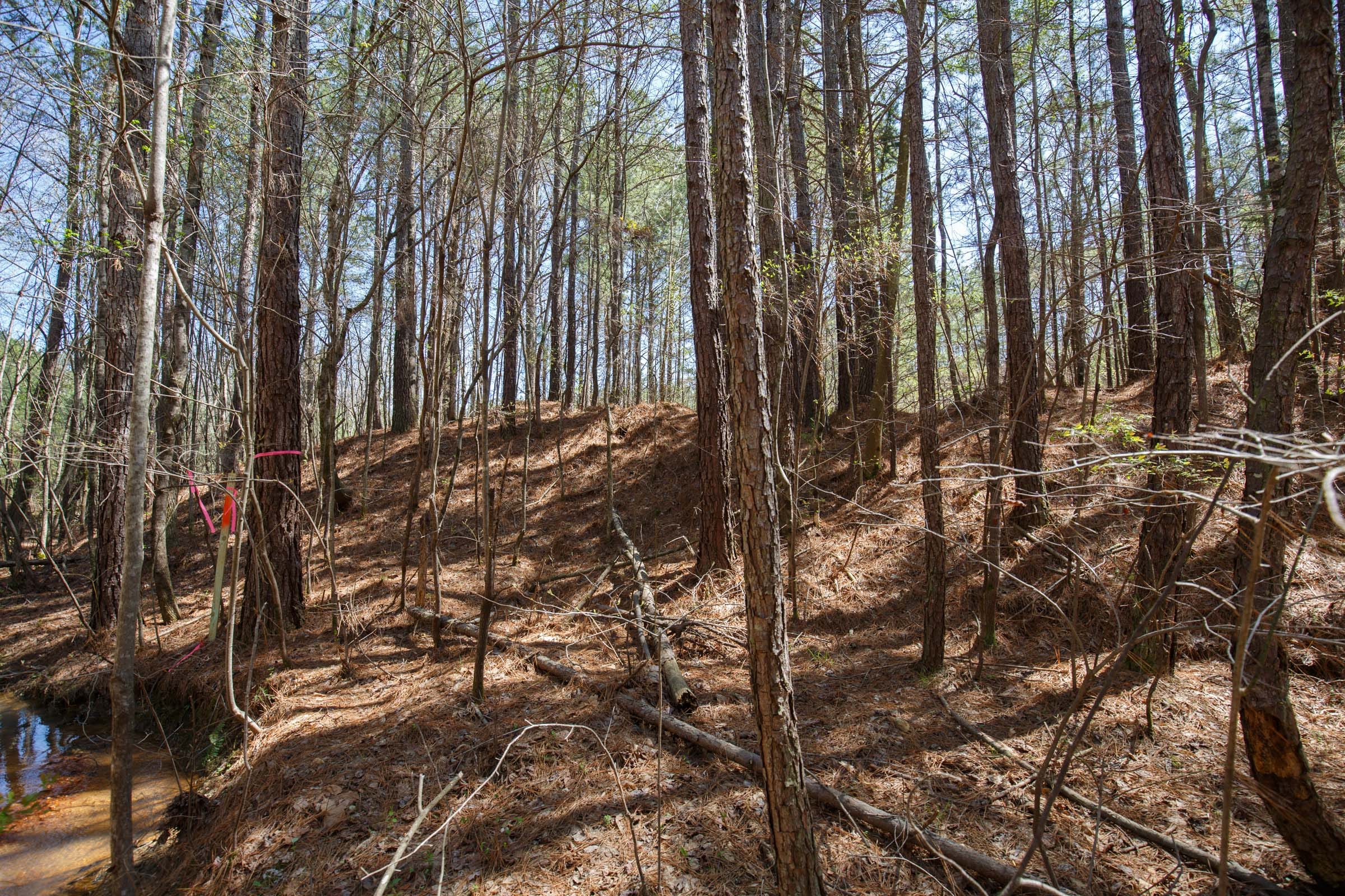 Southern Hills Tract 19 photo 12