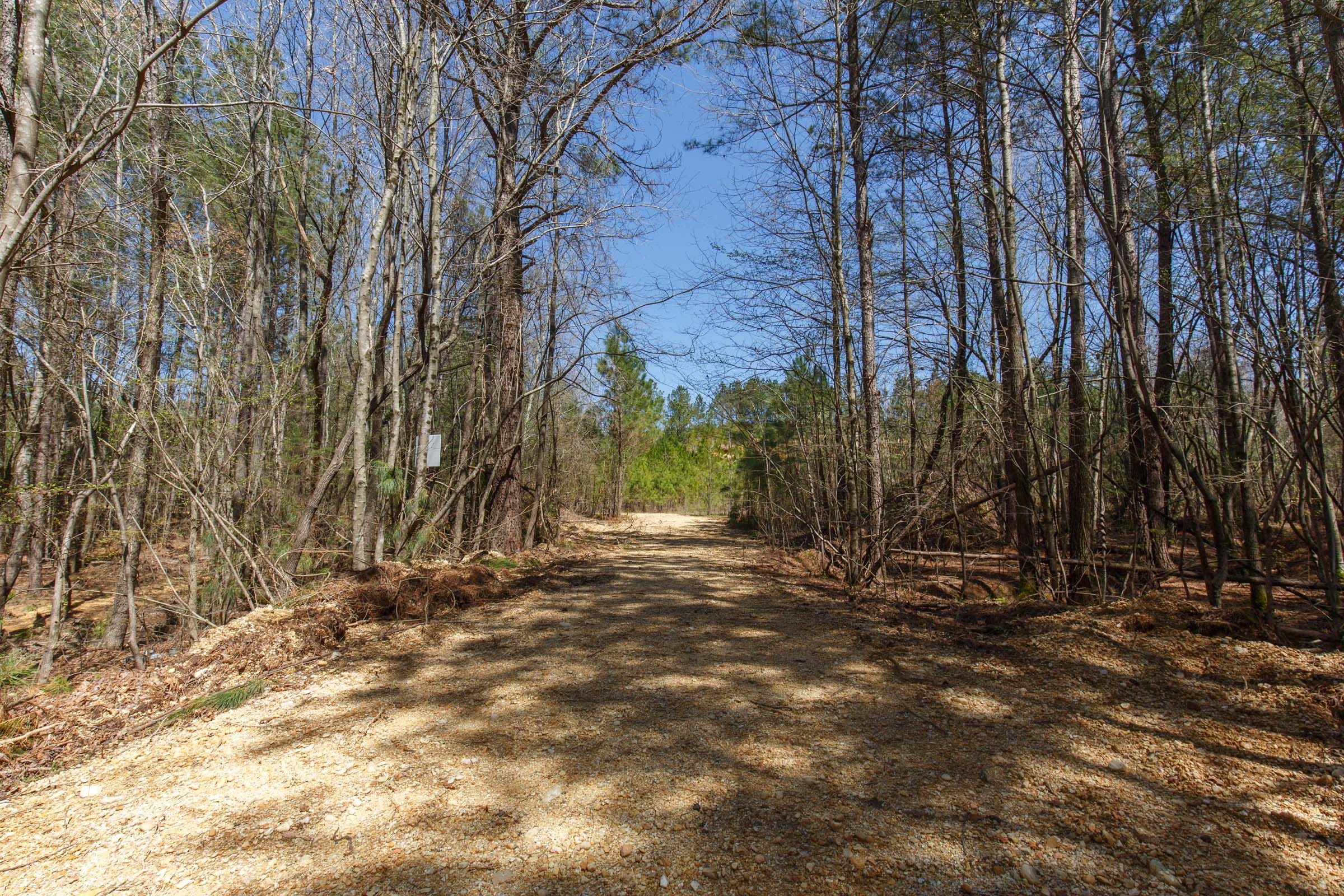 Southern Hills Tract 19 photo 13