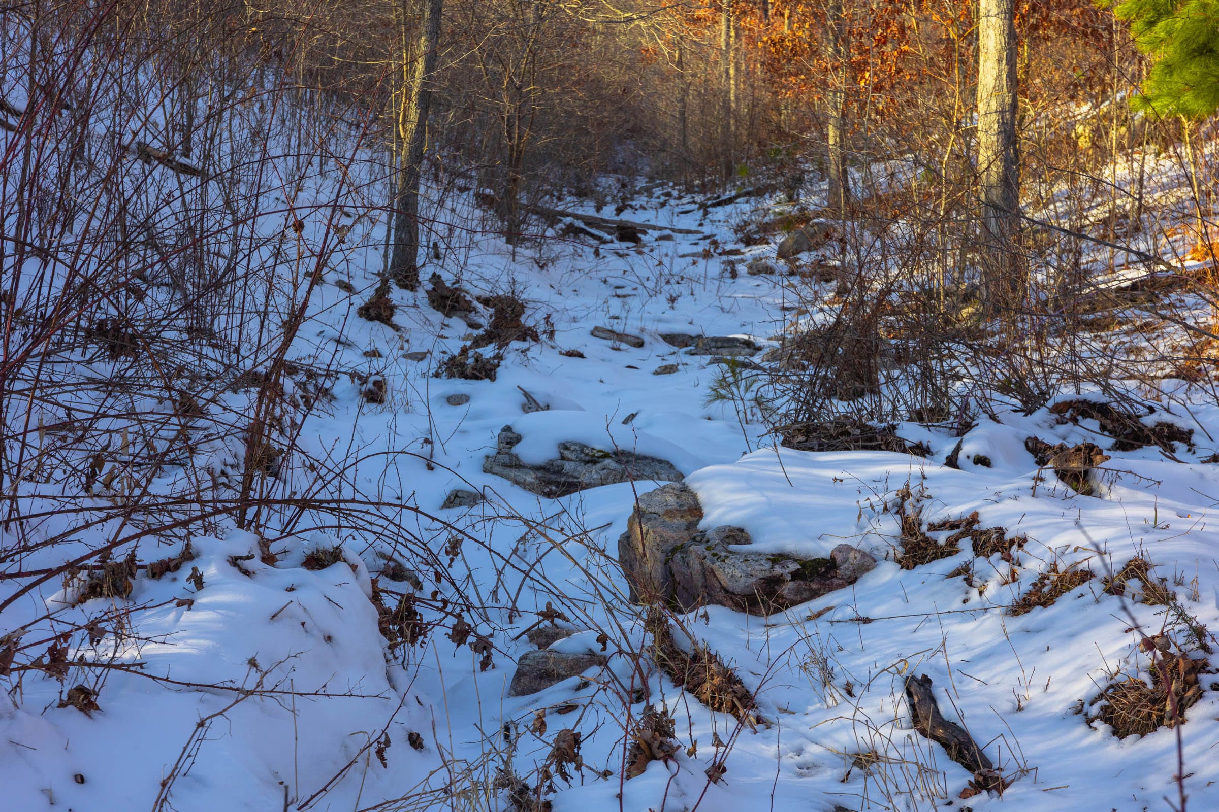 Sleepy Hollow Phase I Tract 32 photo 9