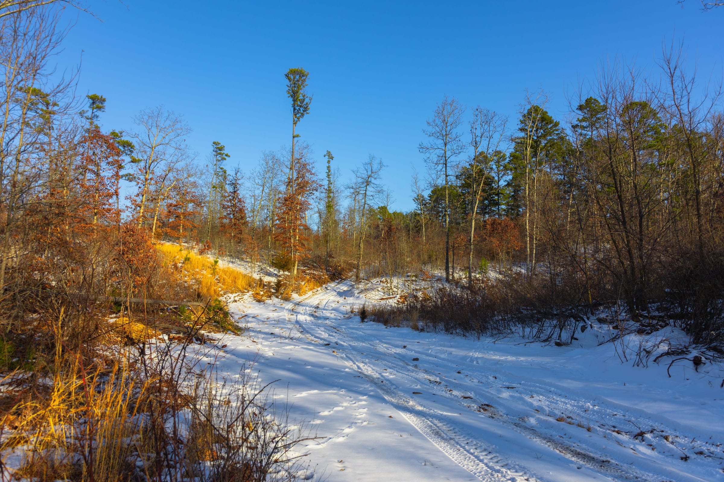 Sleepy Hollow Phase I Tract 32 photo 3