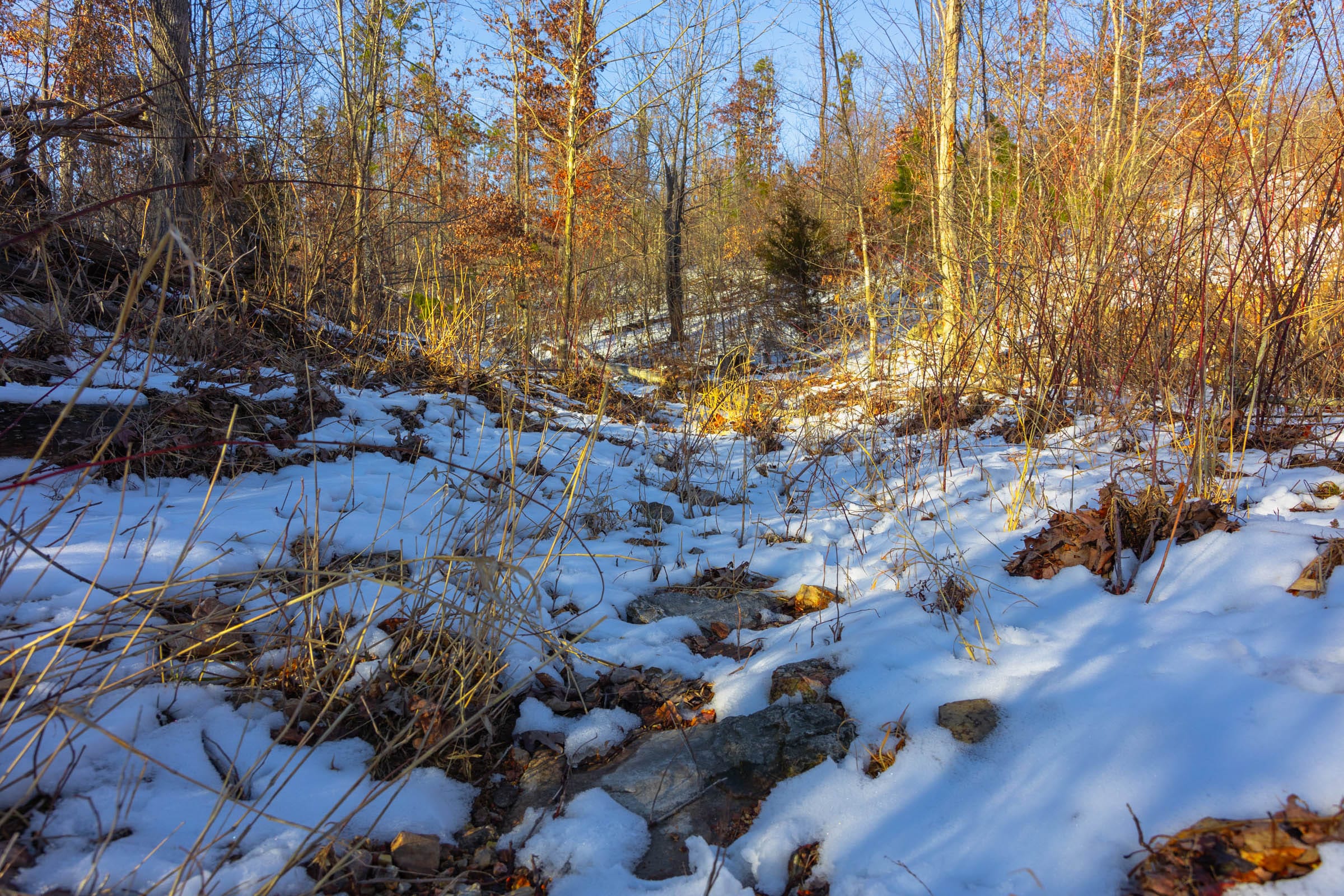 Sleepy Hollow Phase I Tract 32 photo 15