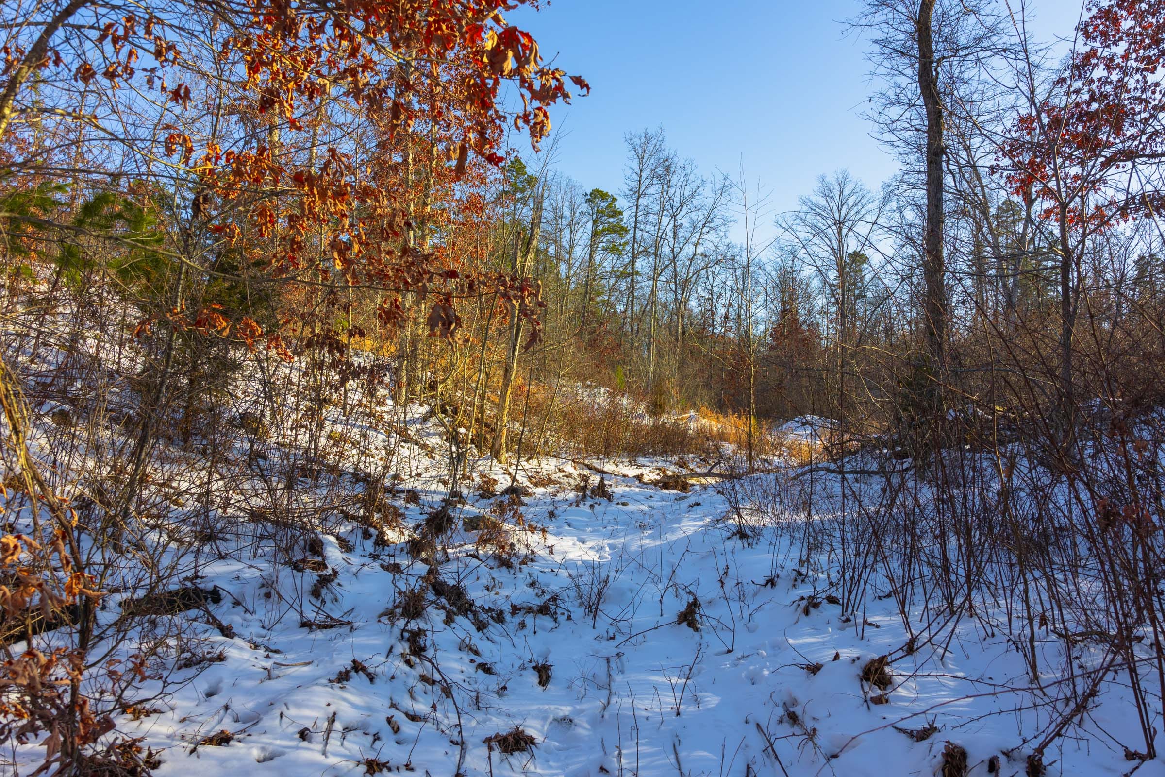 Sleepy Hollow Phase I Tract 32 photo 6