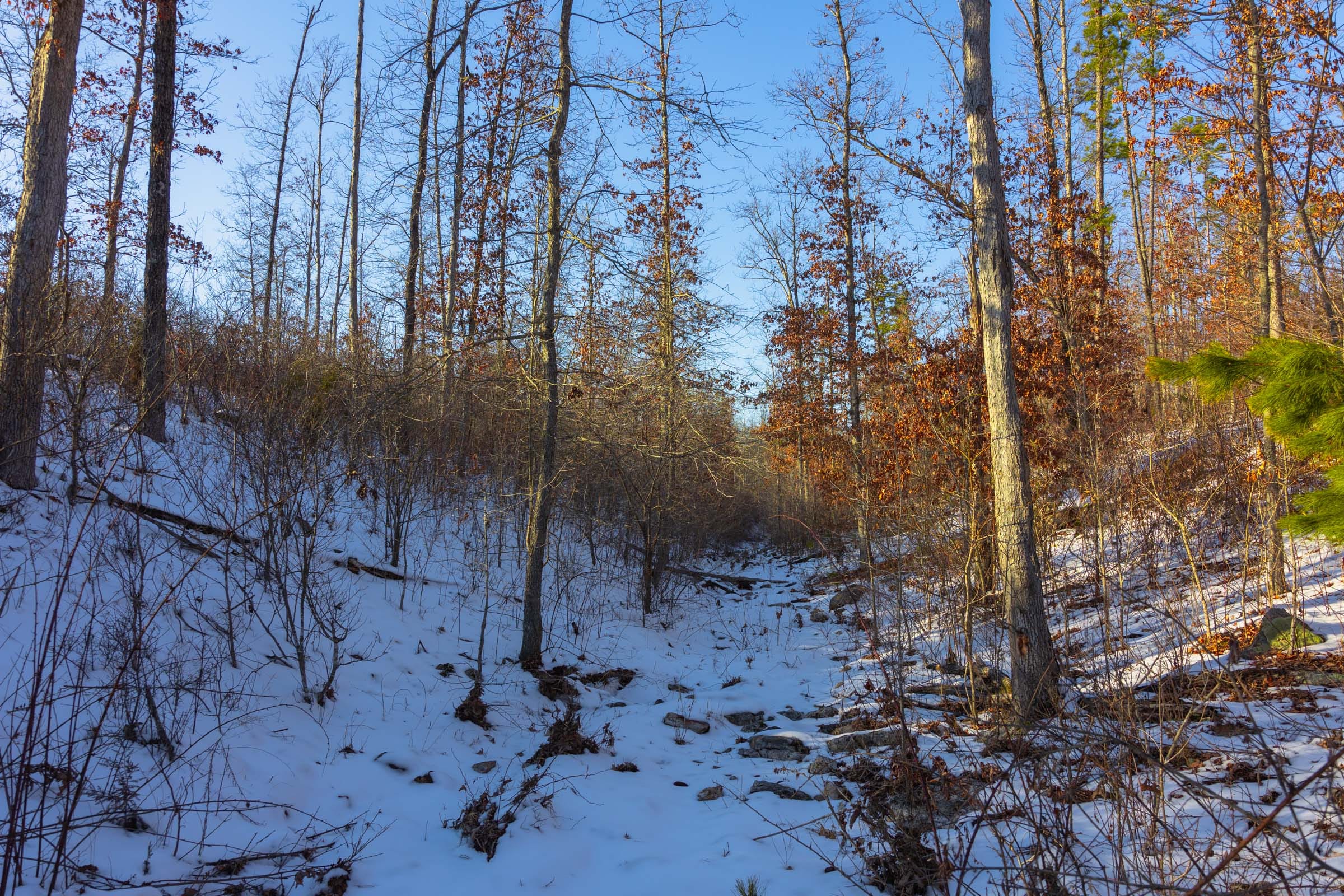Sleepy Hollow Phase I Tract 32 photo 1
