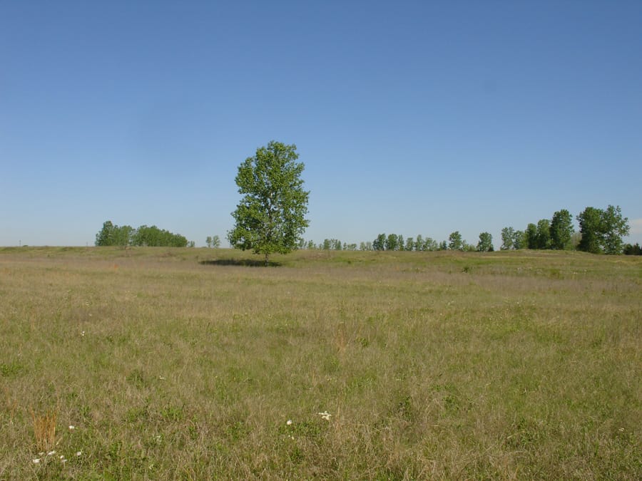Red River Ranch Tract 10 photo 1