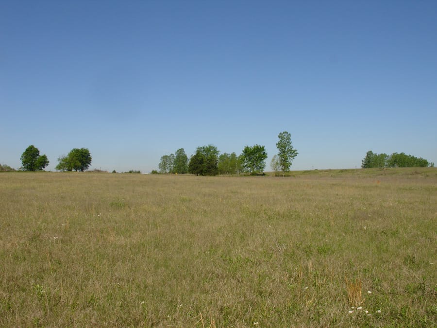 Red River Ranch Tract 10 photo 2