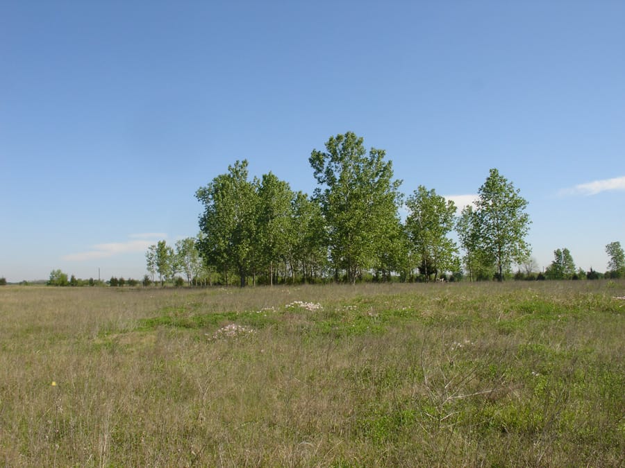 Red River Ranch Tract 10 photo 4
