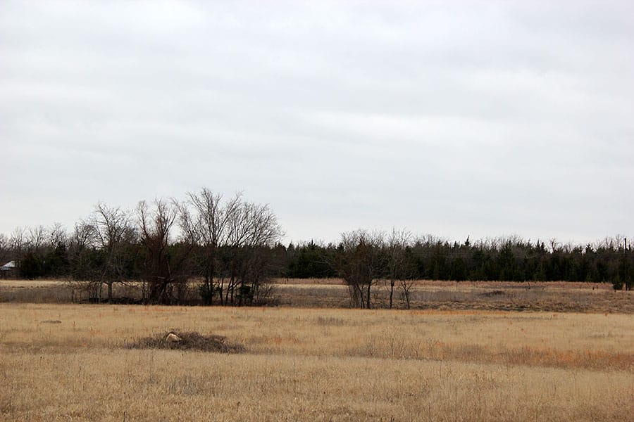 Red River Ranch Tract 10 photo 7