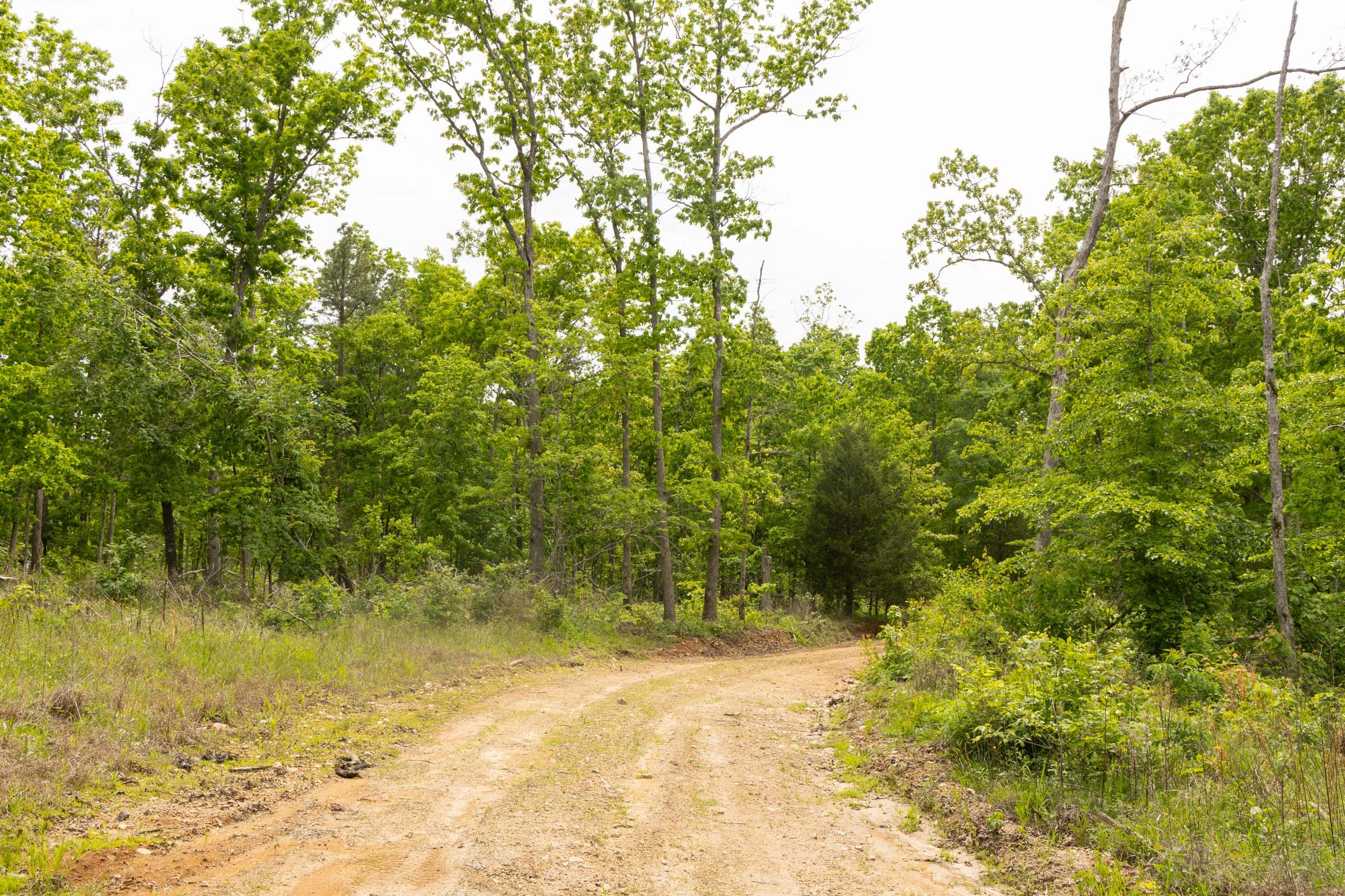 Stardust Estates Tract 9 photo 2