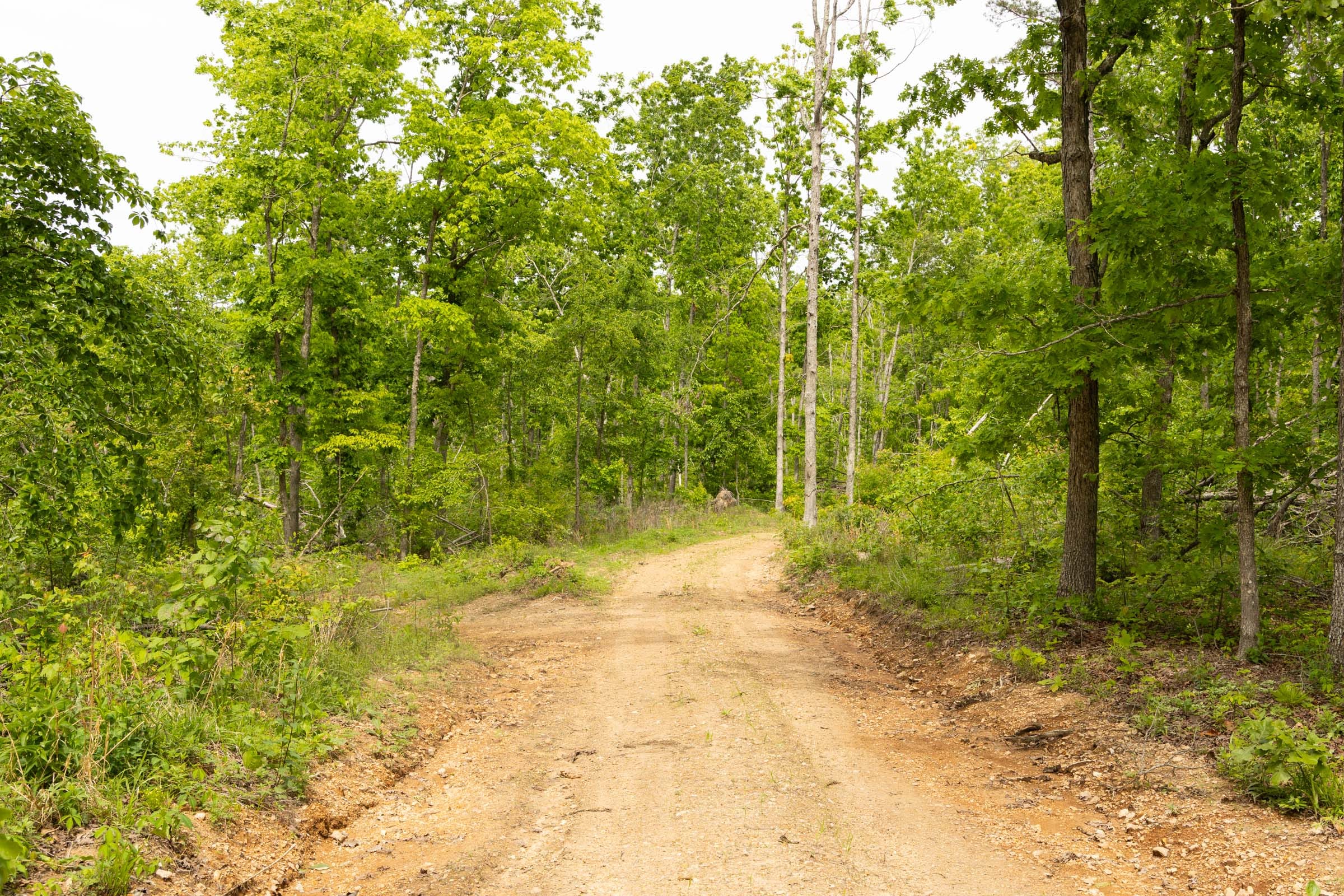 Stardust Estates Tract 9 photo 12