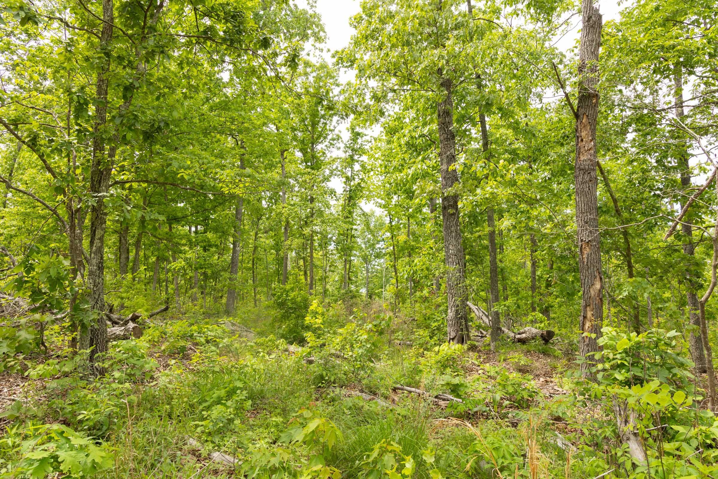 Stardust Estates Tract 9 photo 11