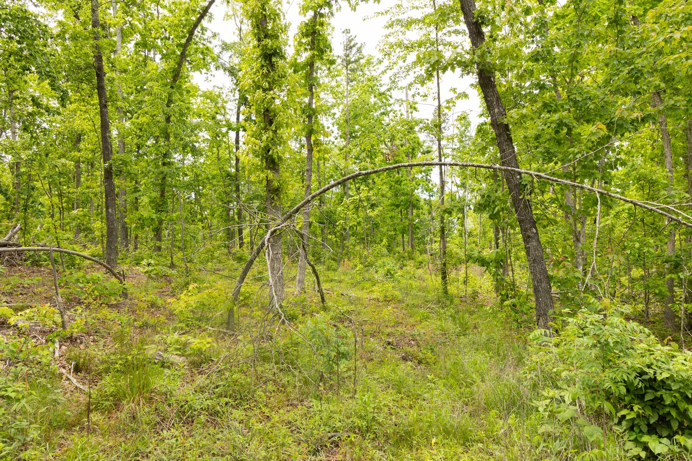 Stardust Estates Tract 9 photo 10