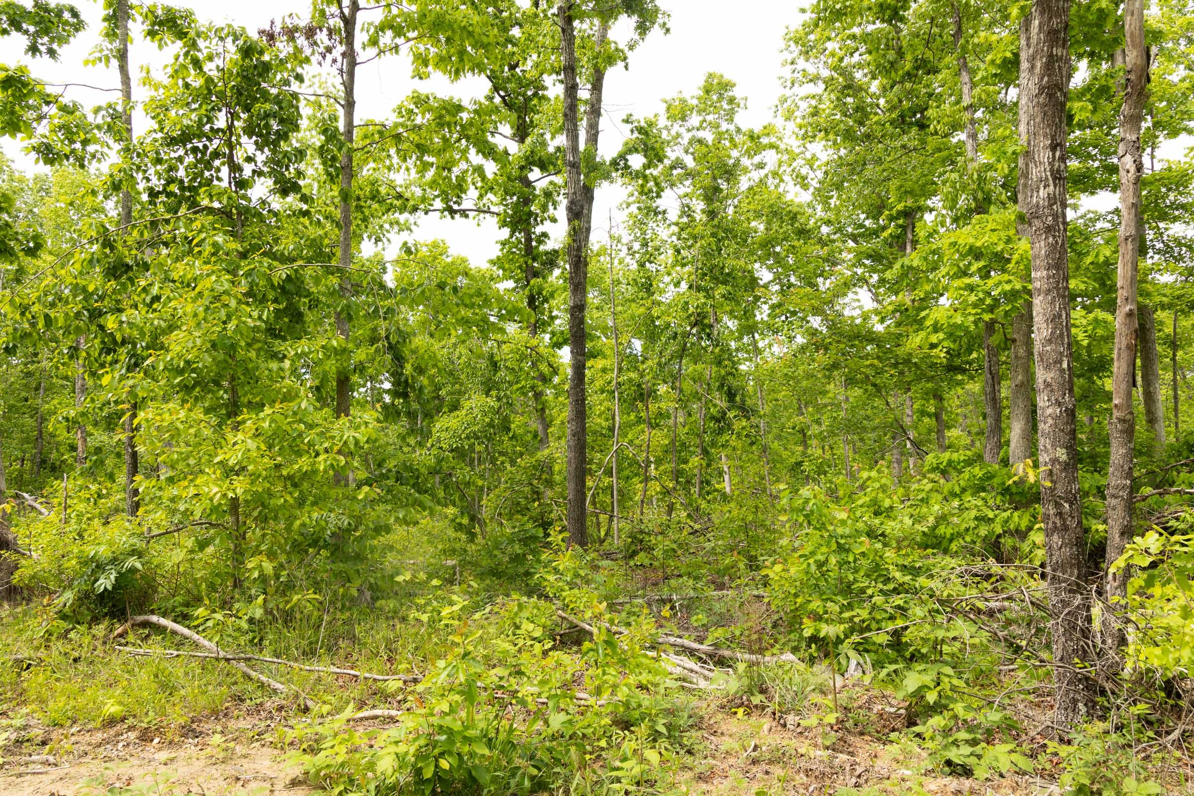 Stardust Estates Tract 9 photo 6