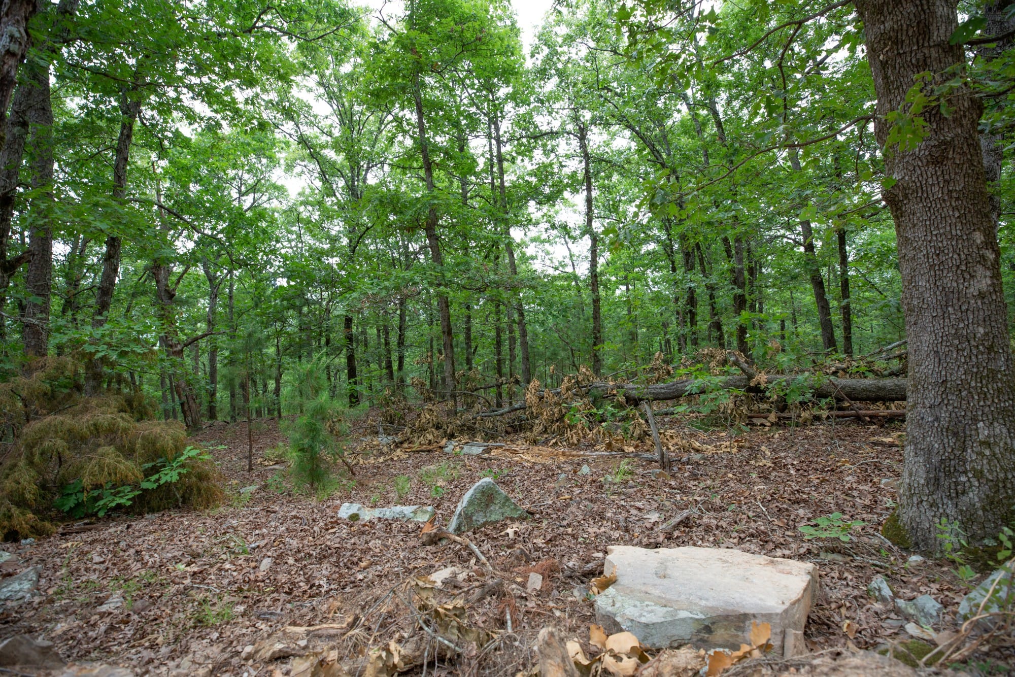 Eagle’s Nest Tract 57 photo 2